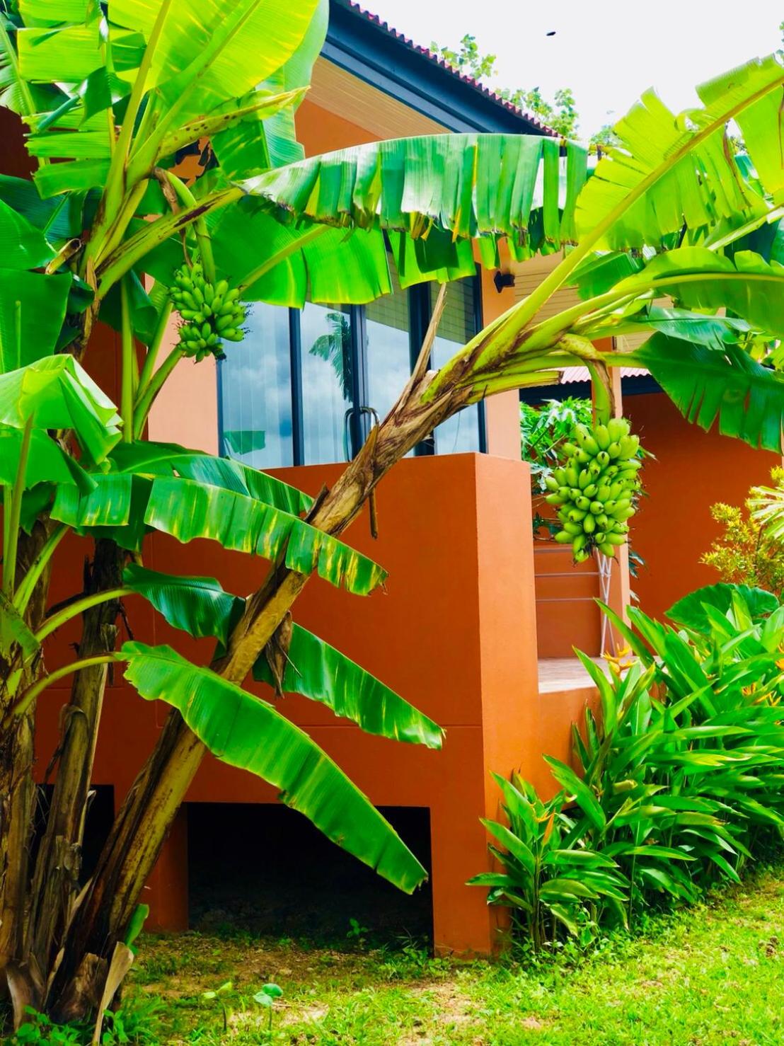 Baansuan Amaleena view 2