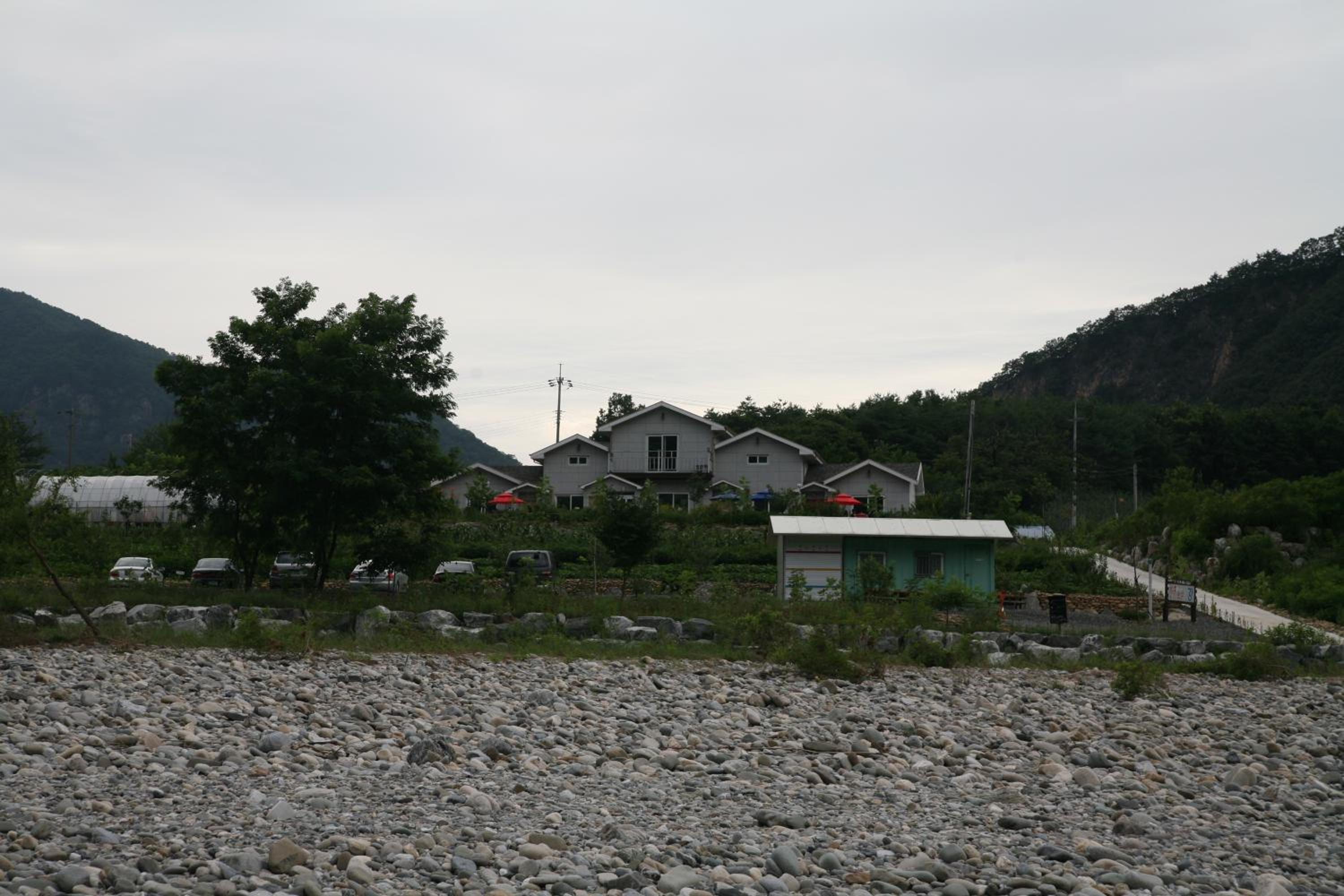 별 품은 강