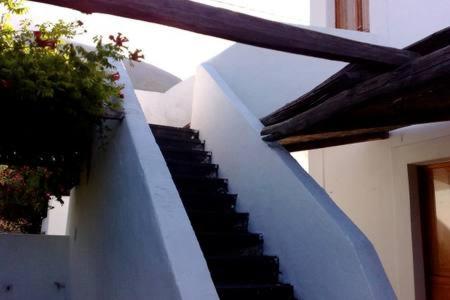Photo 58