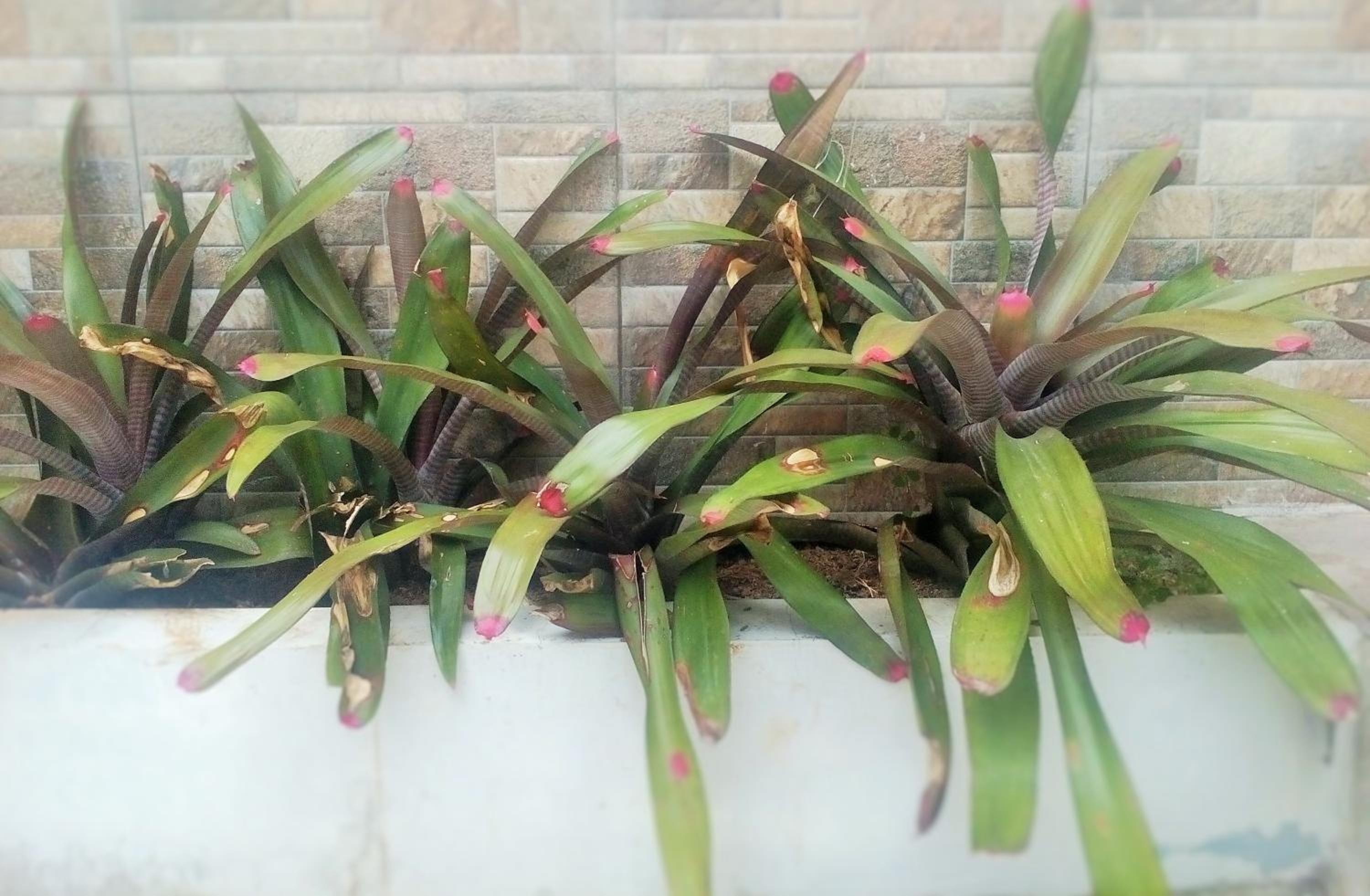 Homestay Bumi Asri III Cikutra view 4