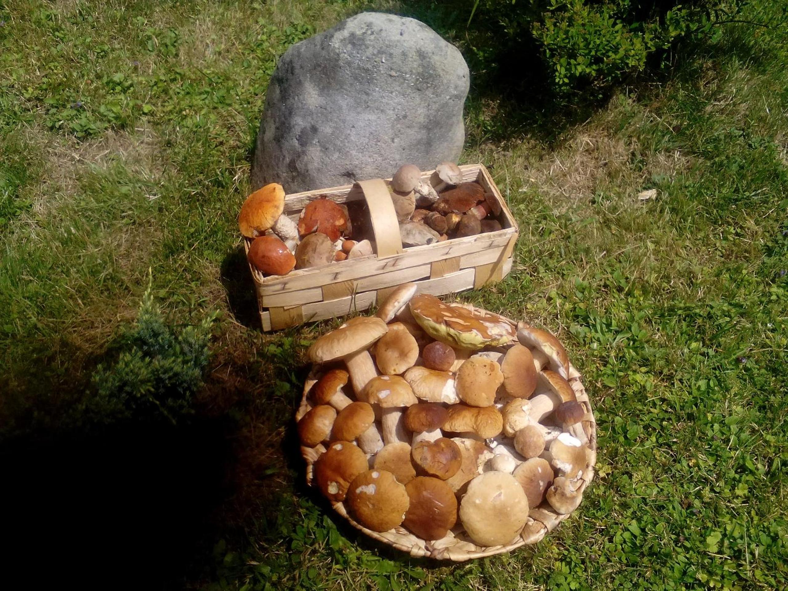 Photo 8