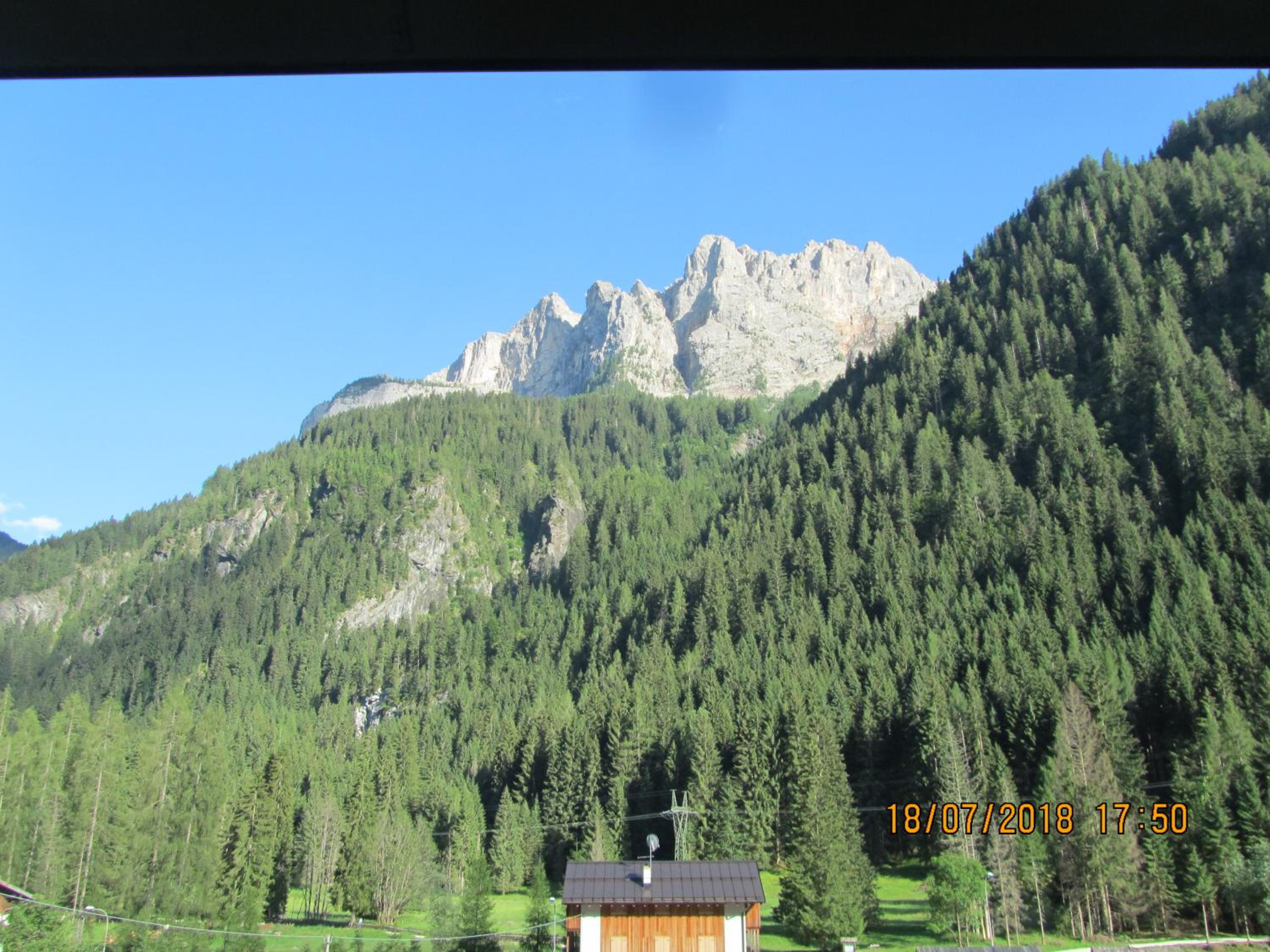 Photo 31