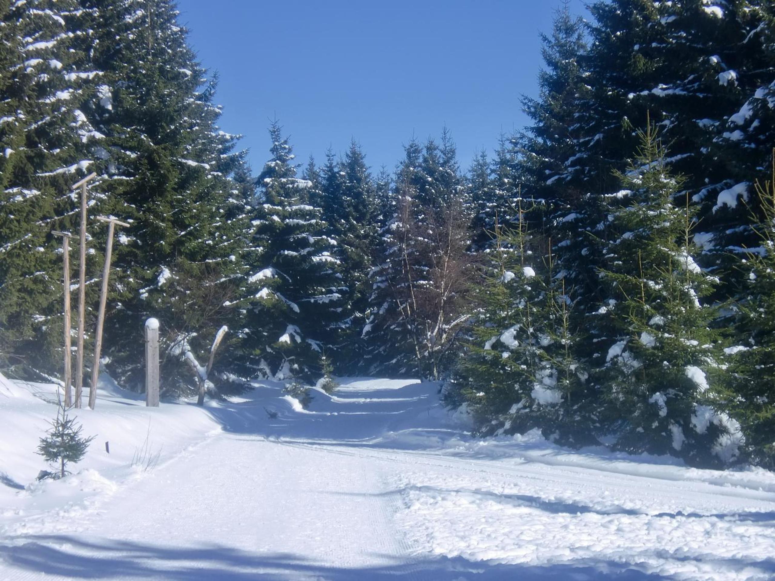Pension Haus am Wald