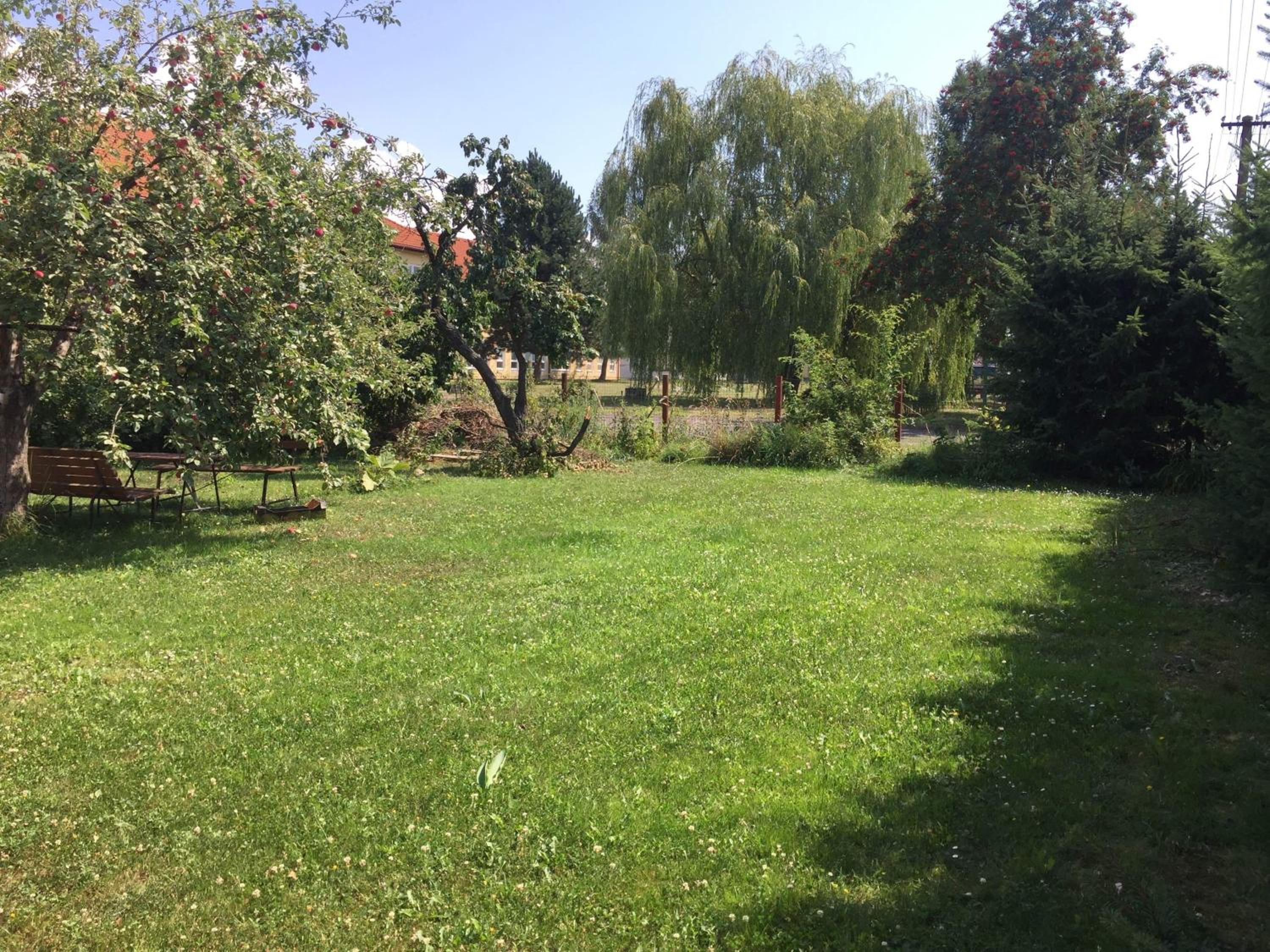 Photo 36