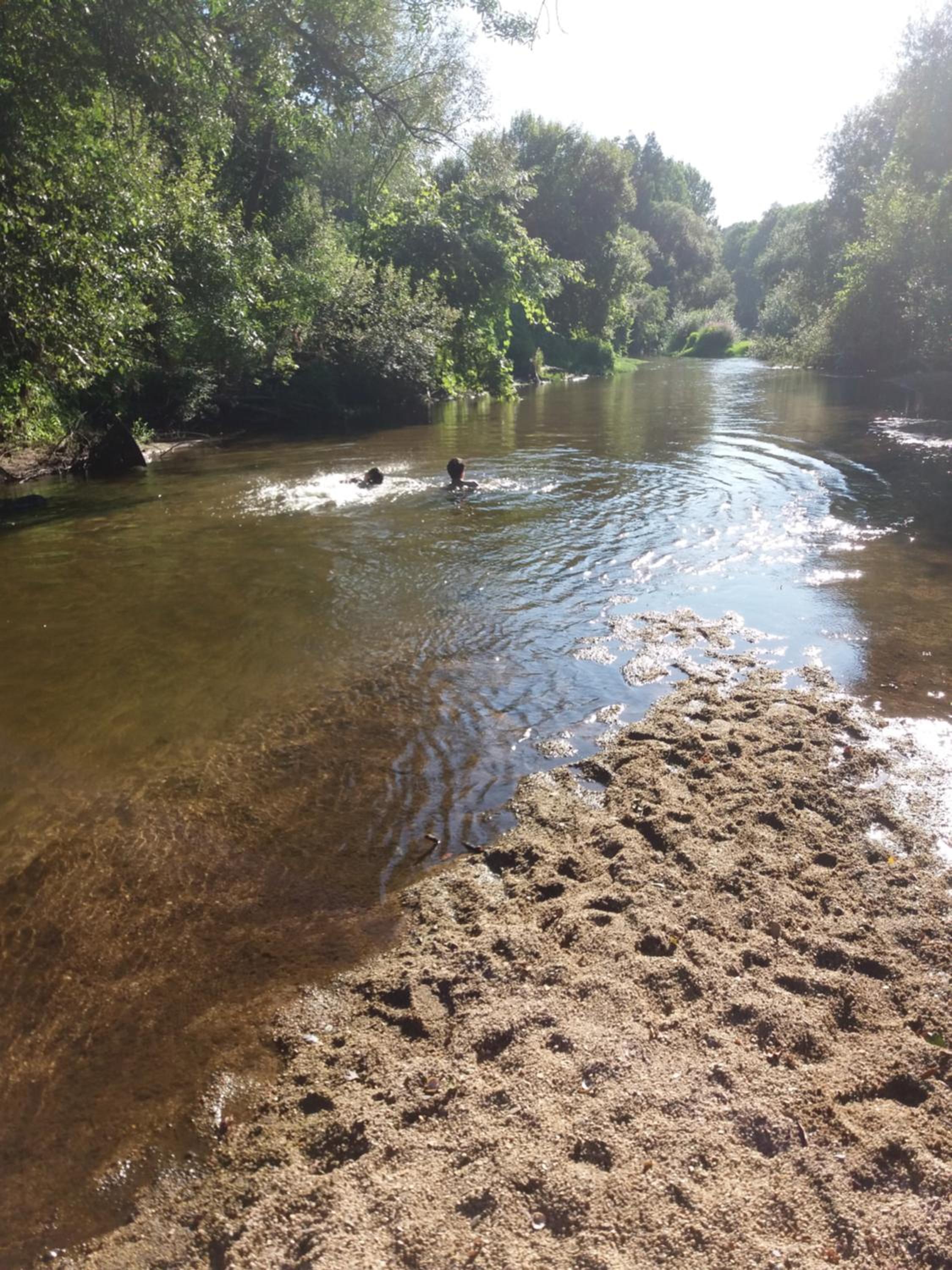 Photo 17