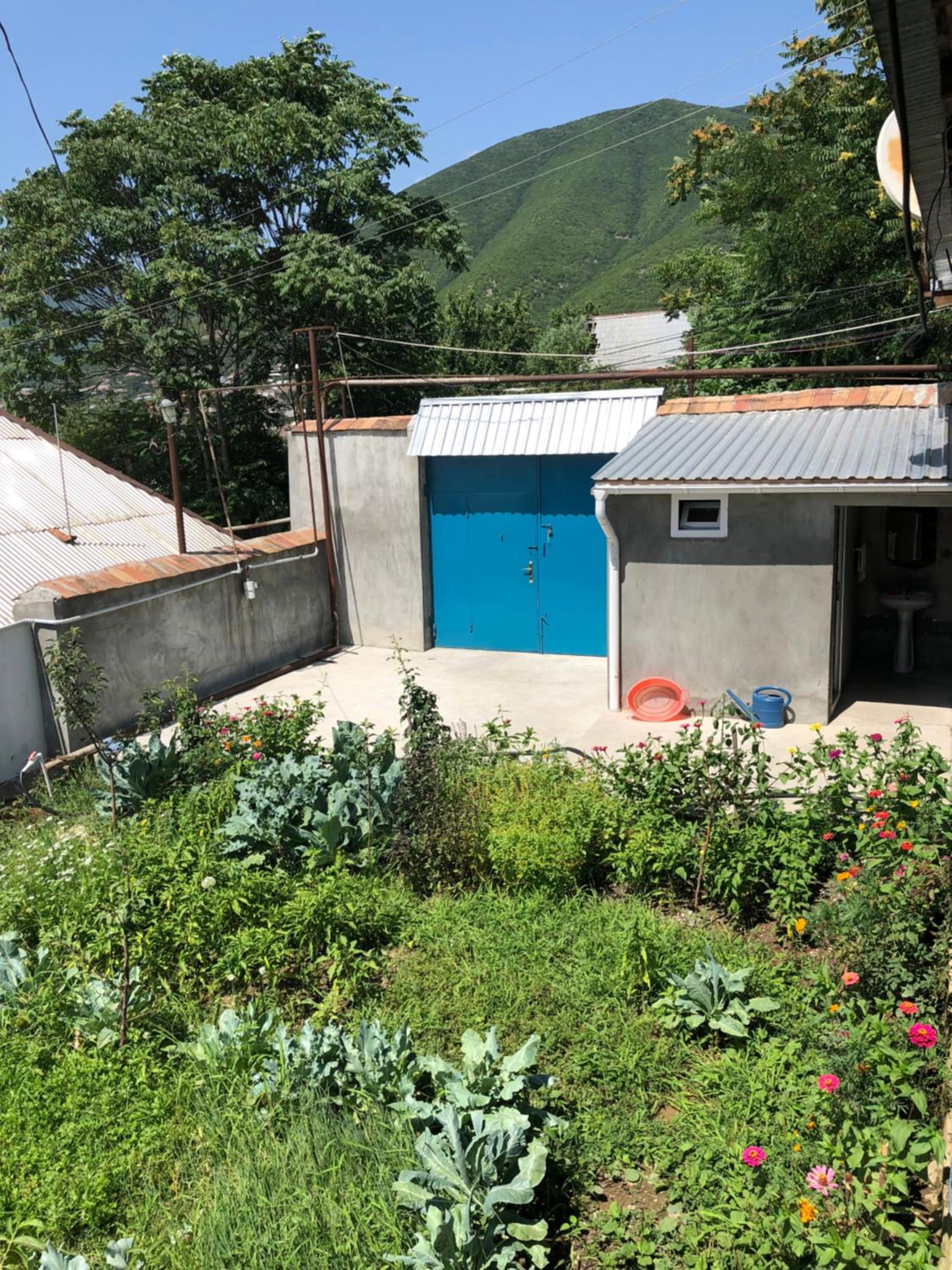 Shaki Host House