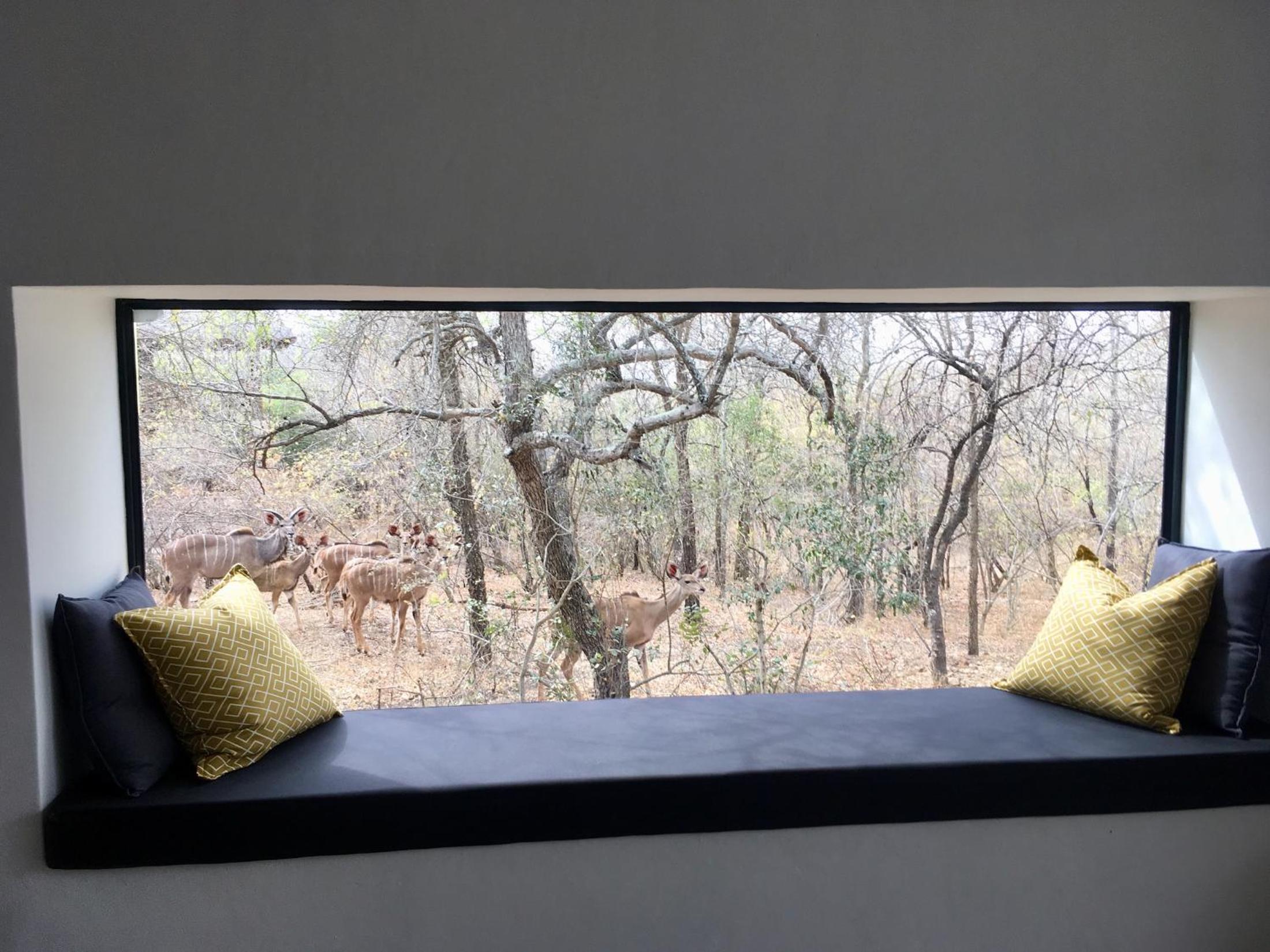 Ochre House view 3