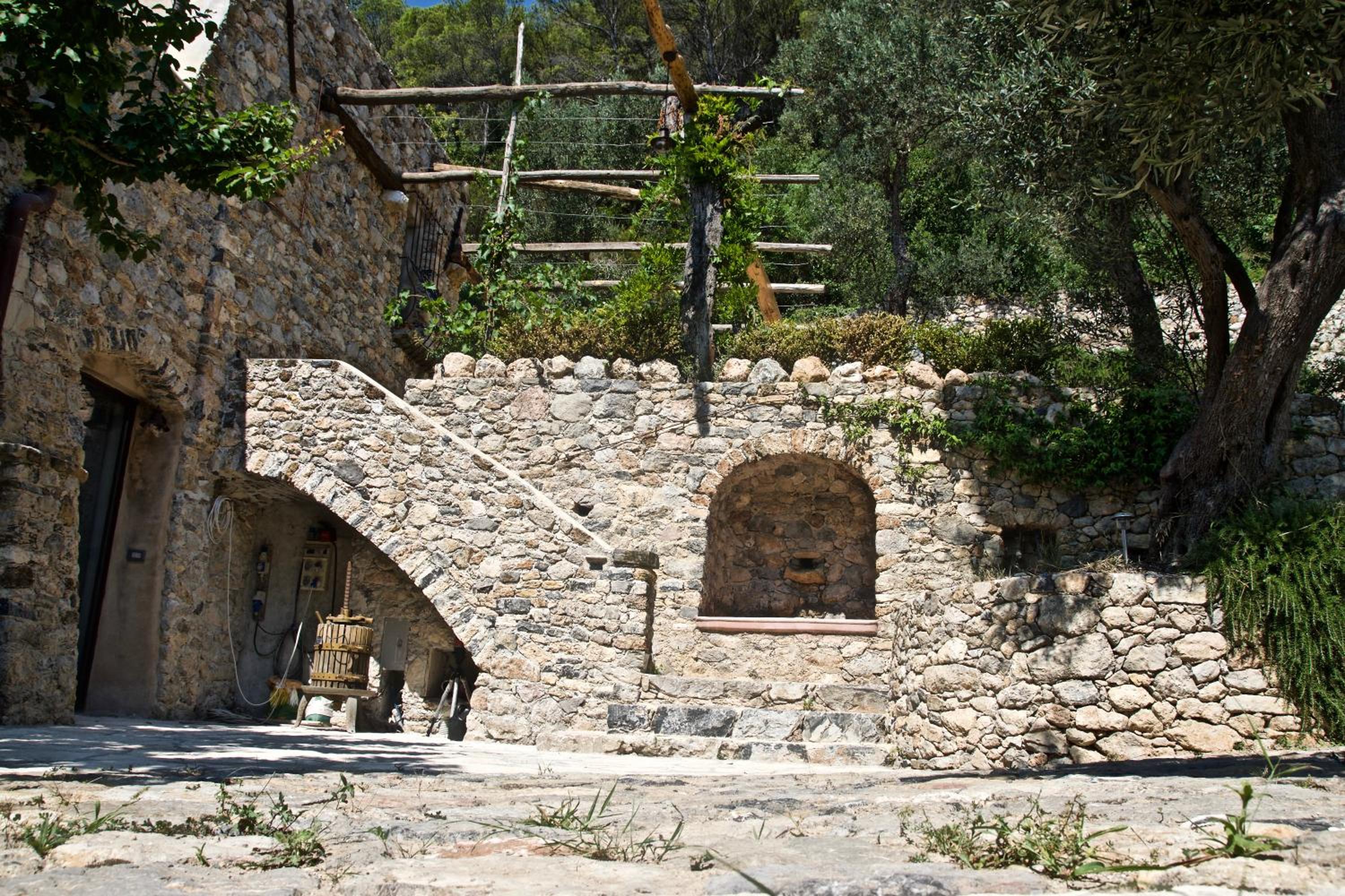 Photo 6