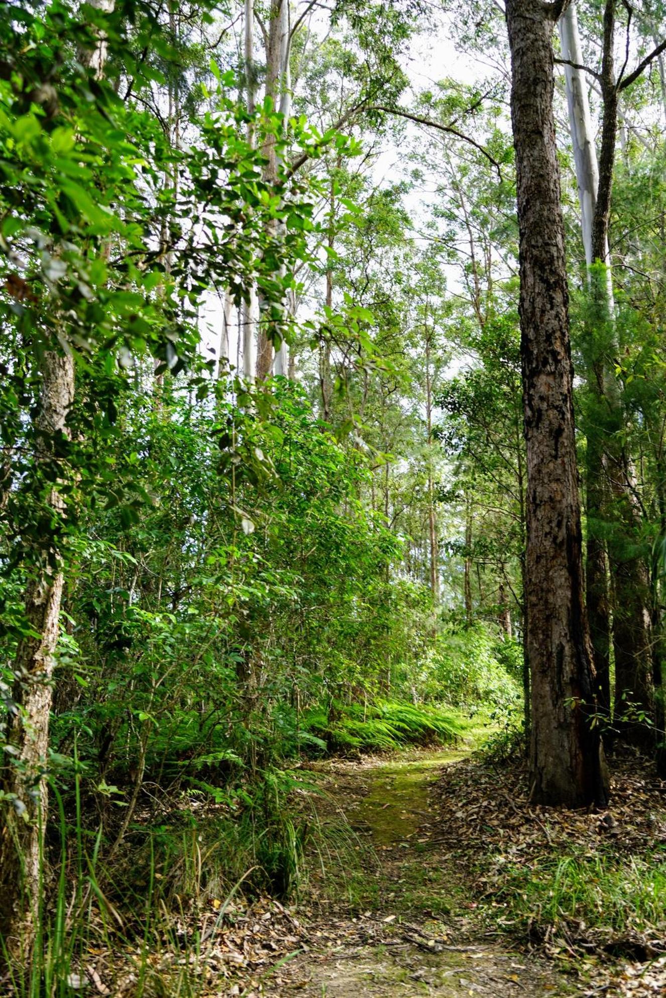 Kiwarrak Country Retreat