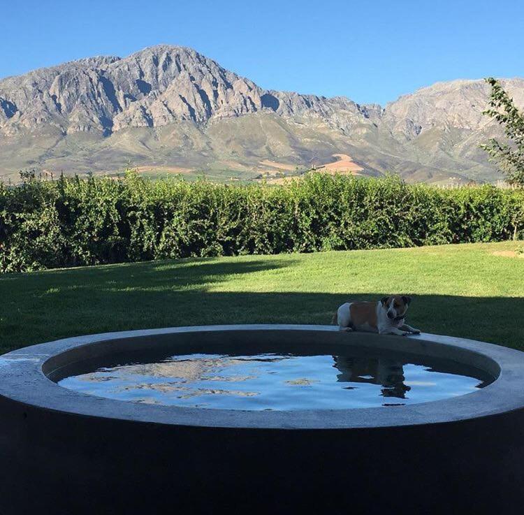 Seven Oaks Vineyard Cottages