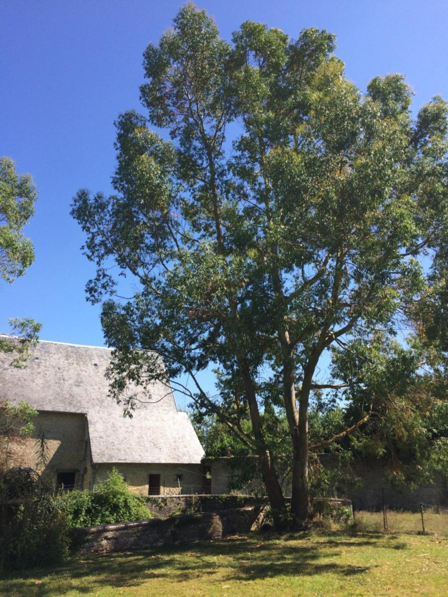 Photo 15
