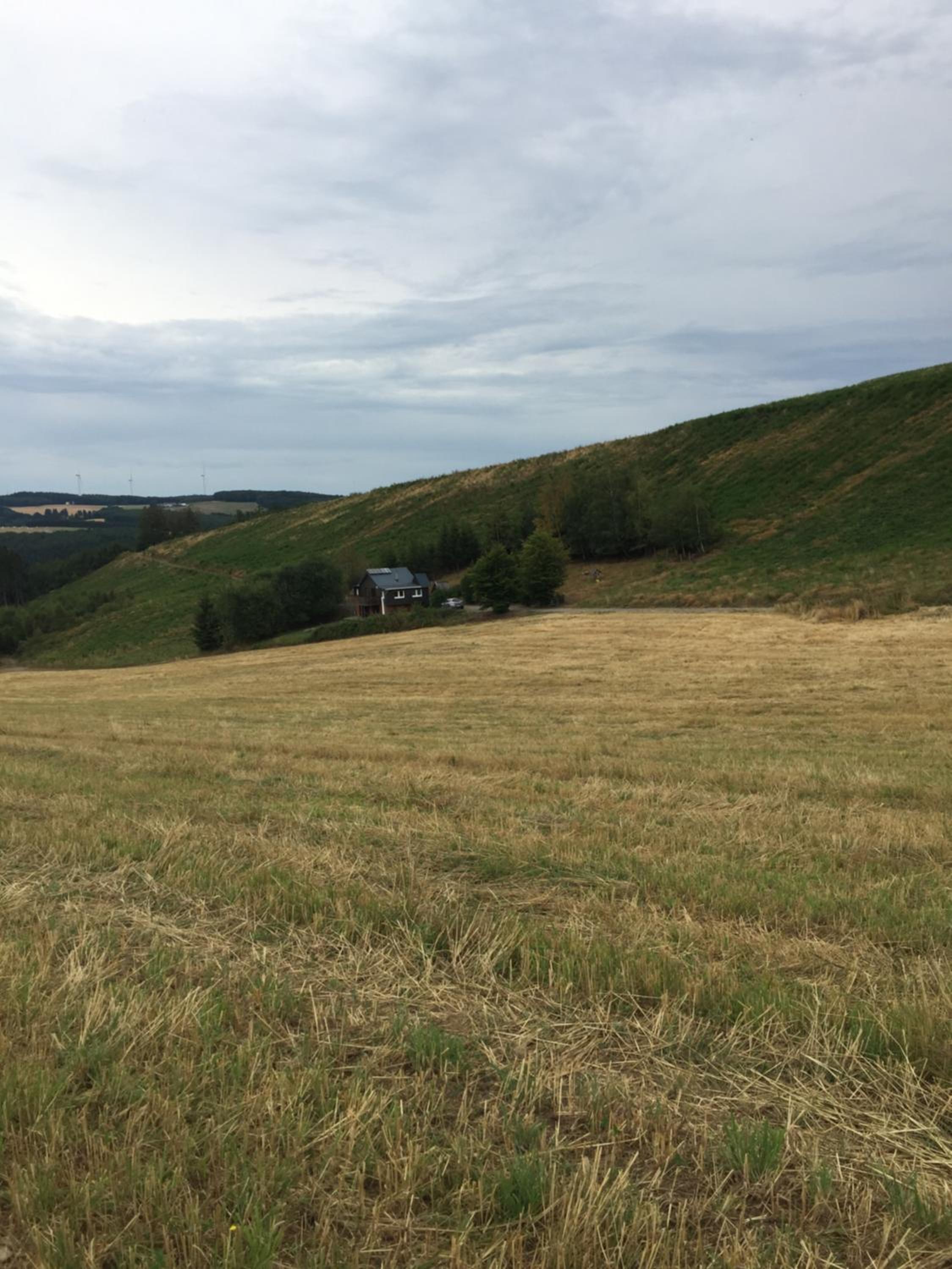 Waldhaus Wangen