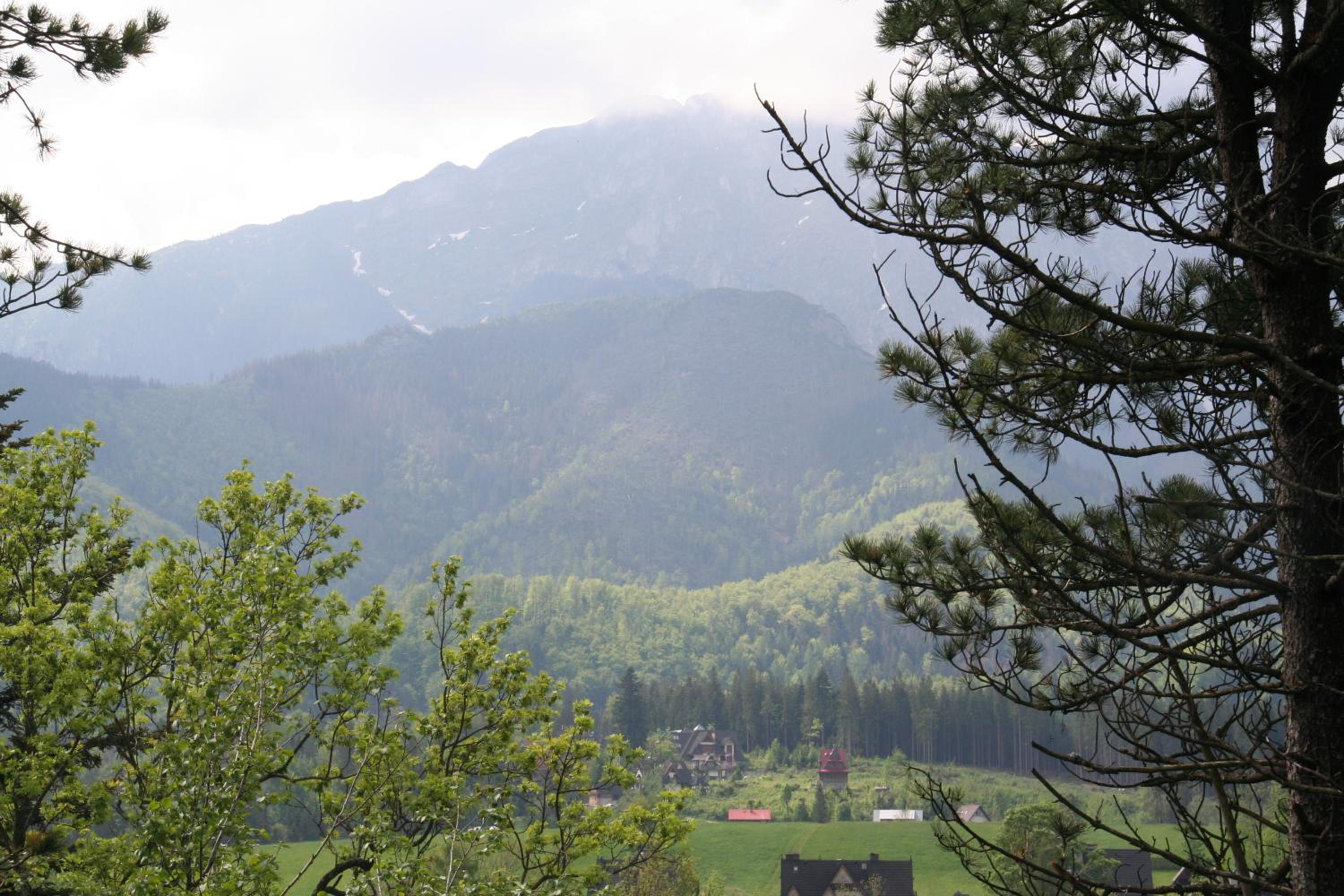 Photo 30