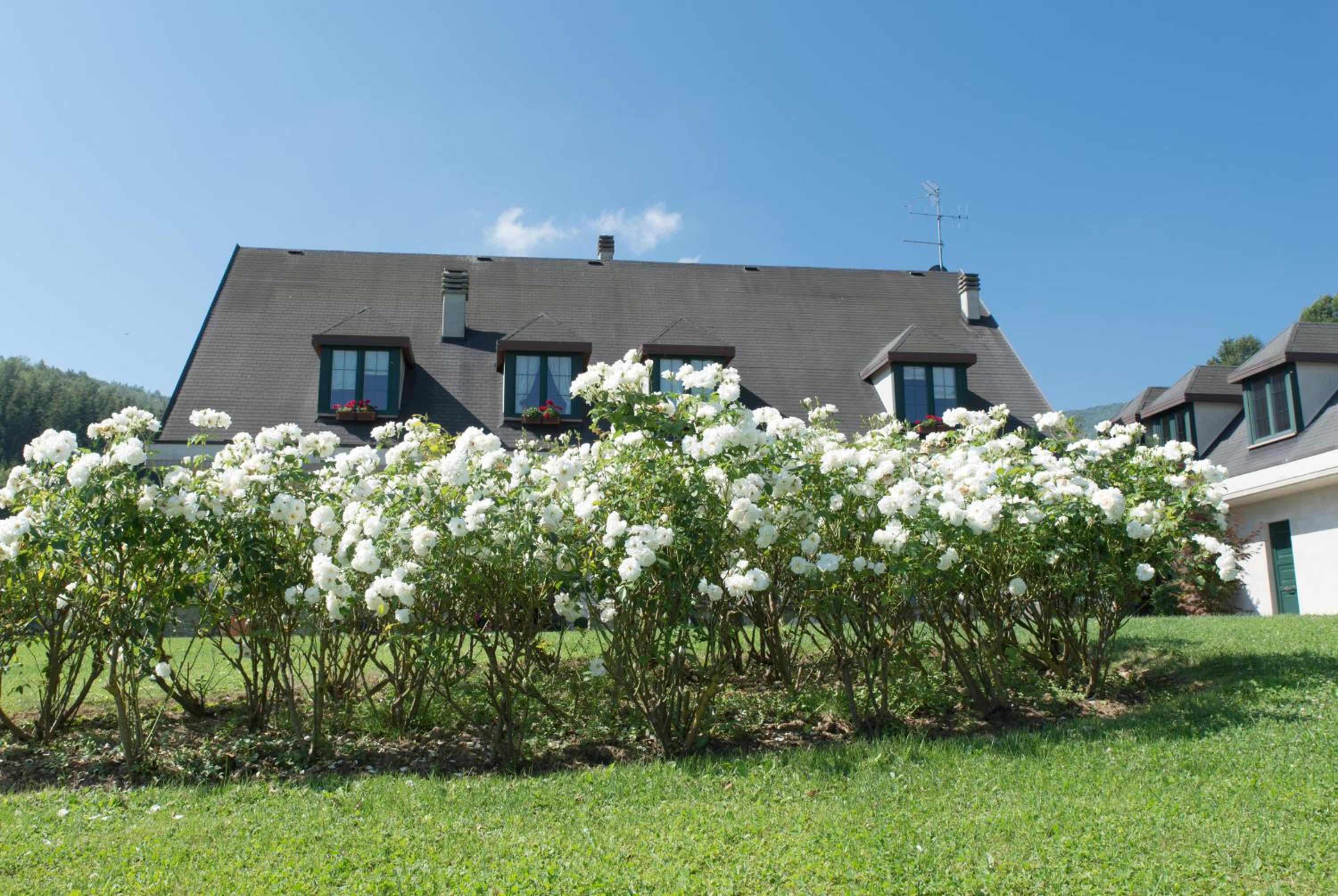 B&B La Provenzale view 3