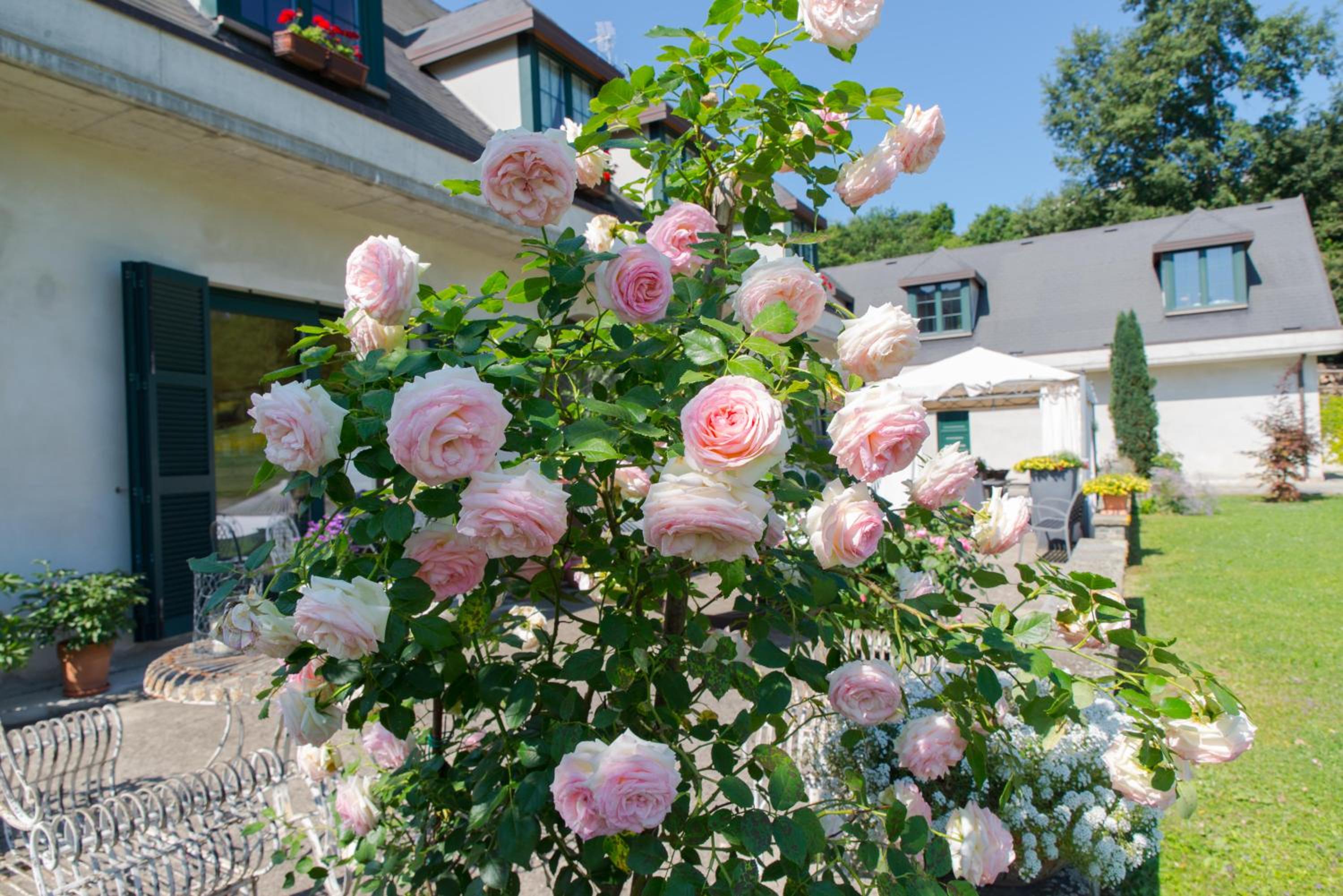 B&B La Provenzale view 5