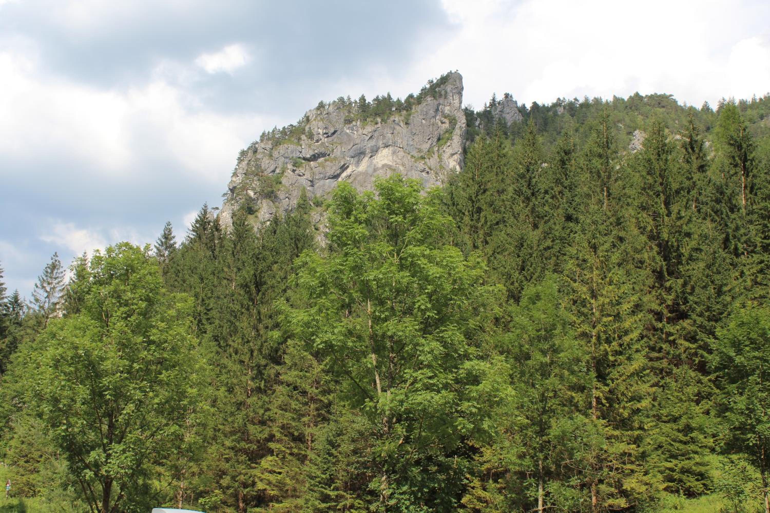 Photo 23