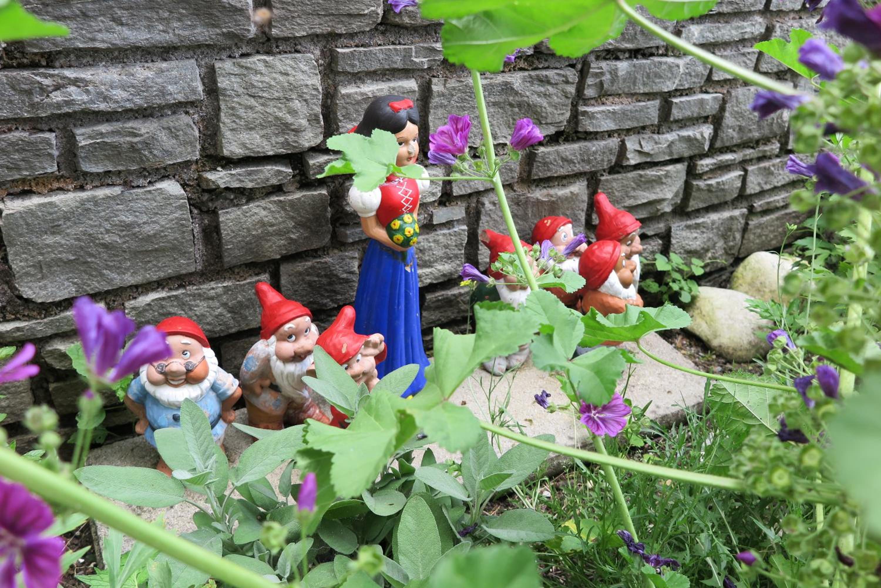 Photo 14