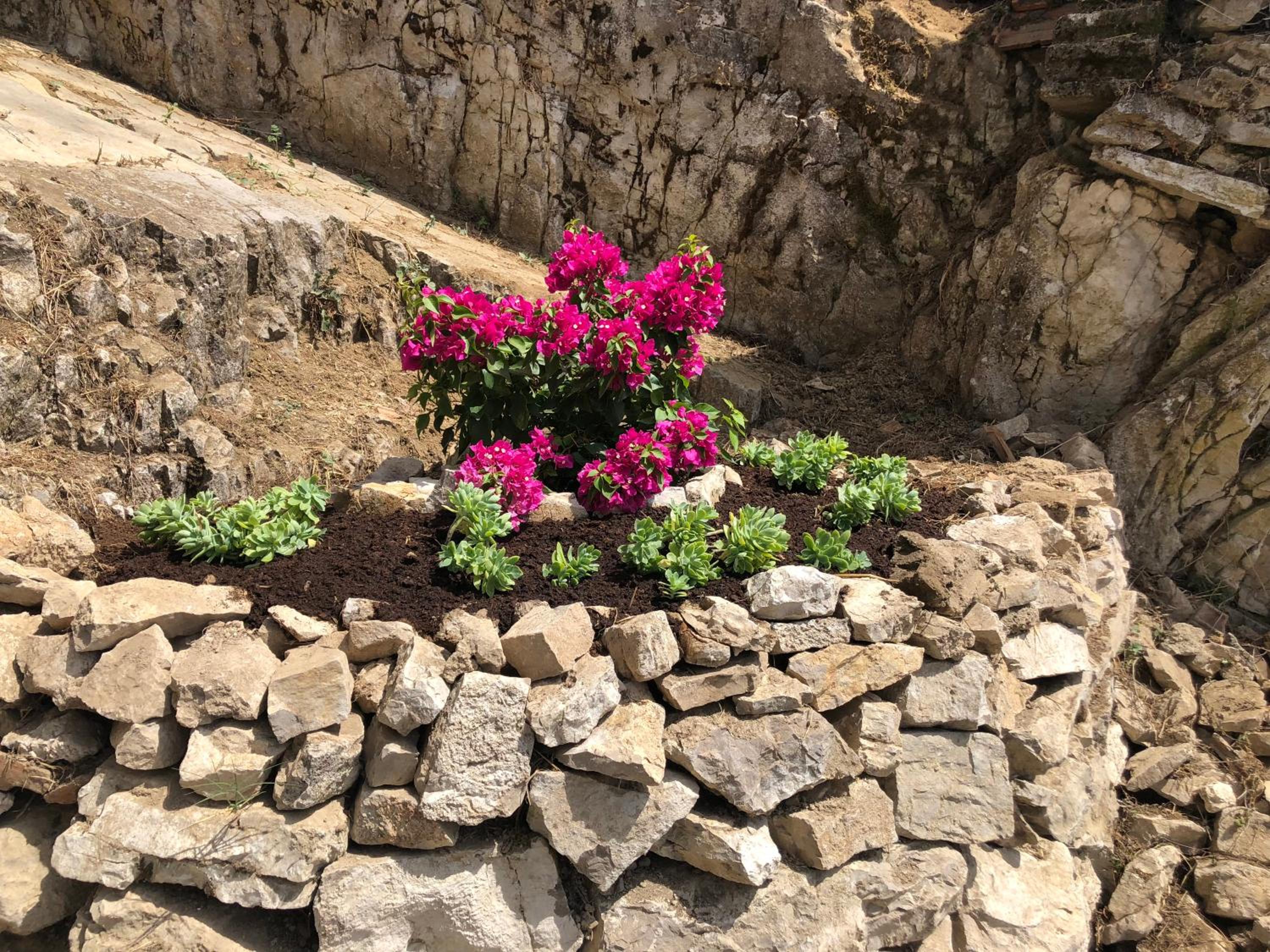 Relais Buona Stella