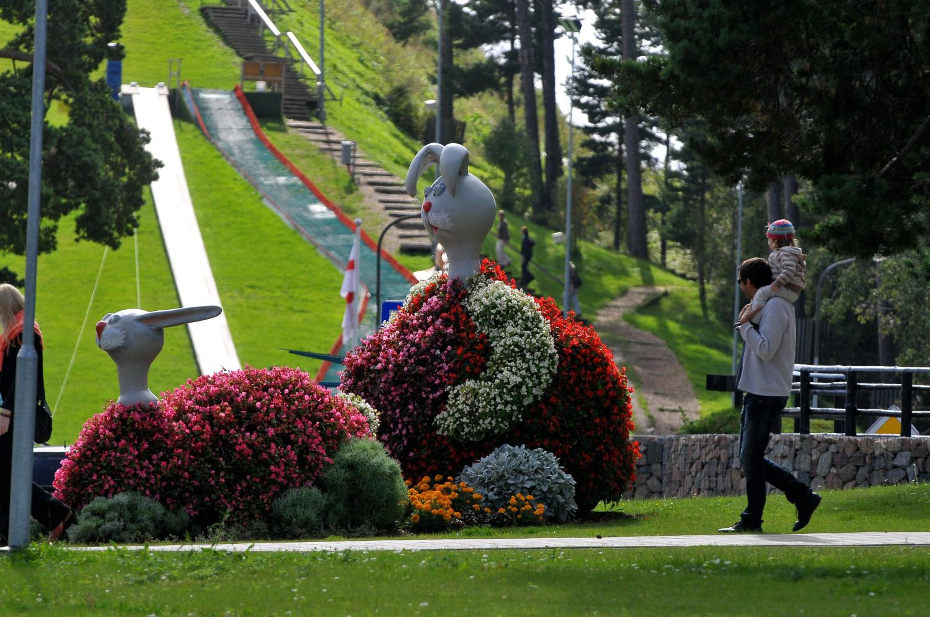Photo 7