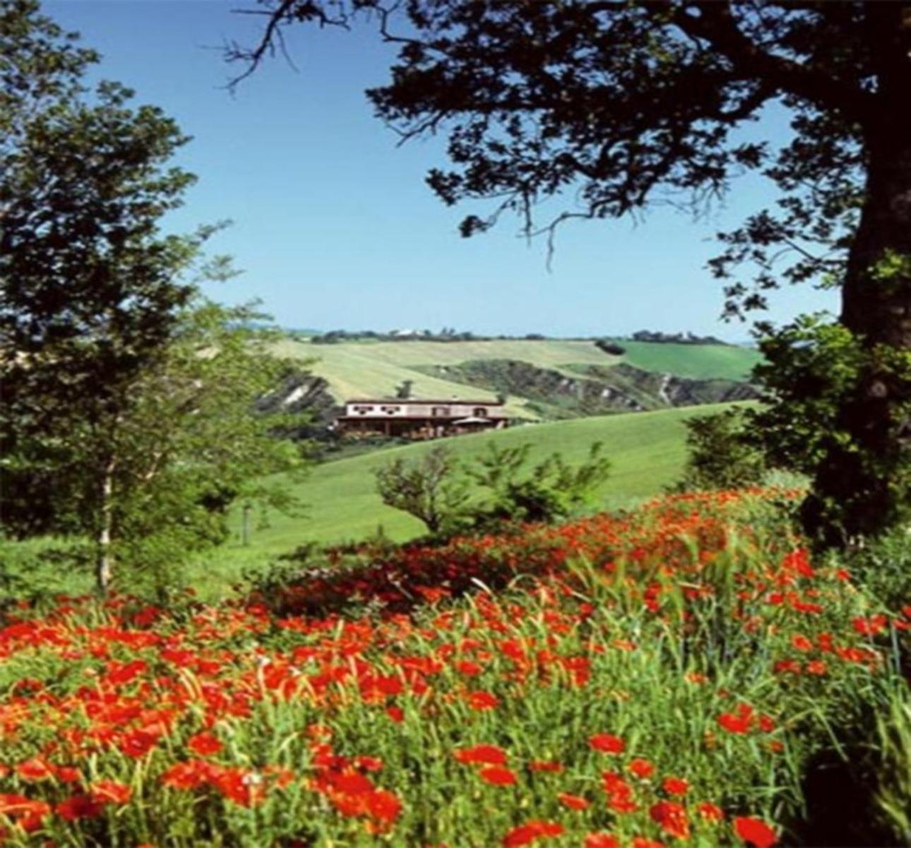 La Valle Del Sole Country House