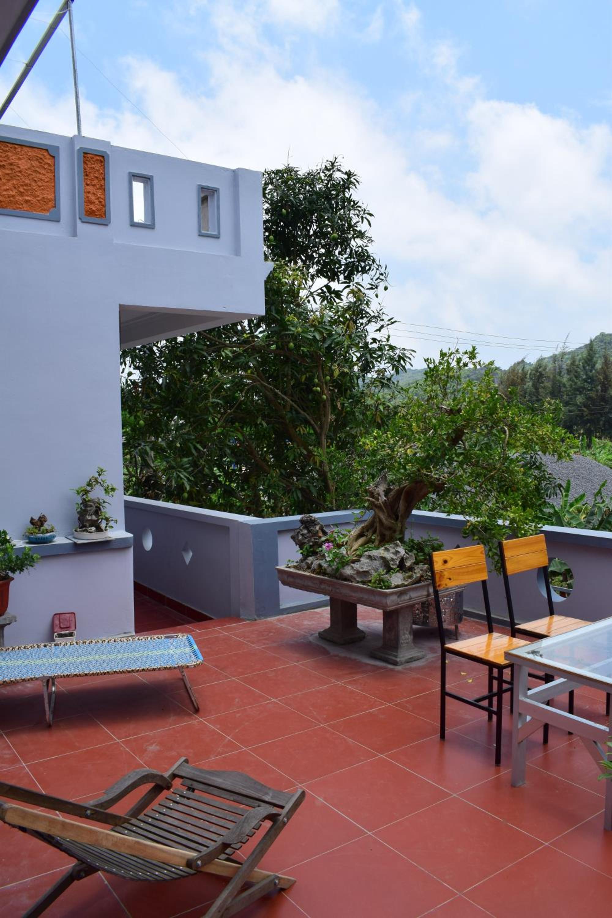 Cat Ba Sweet Potato Homestay