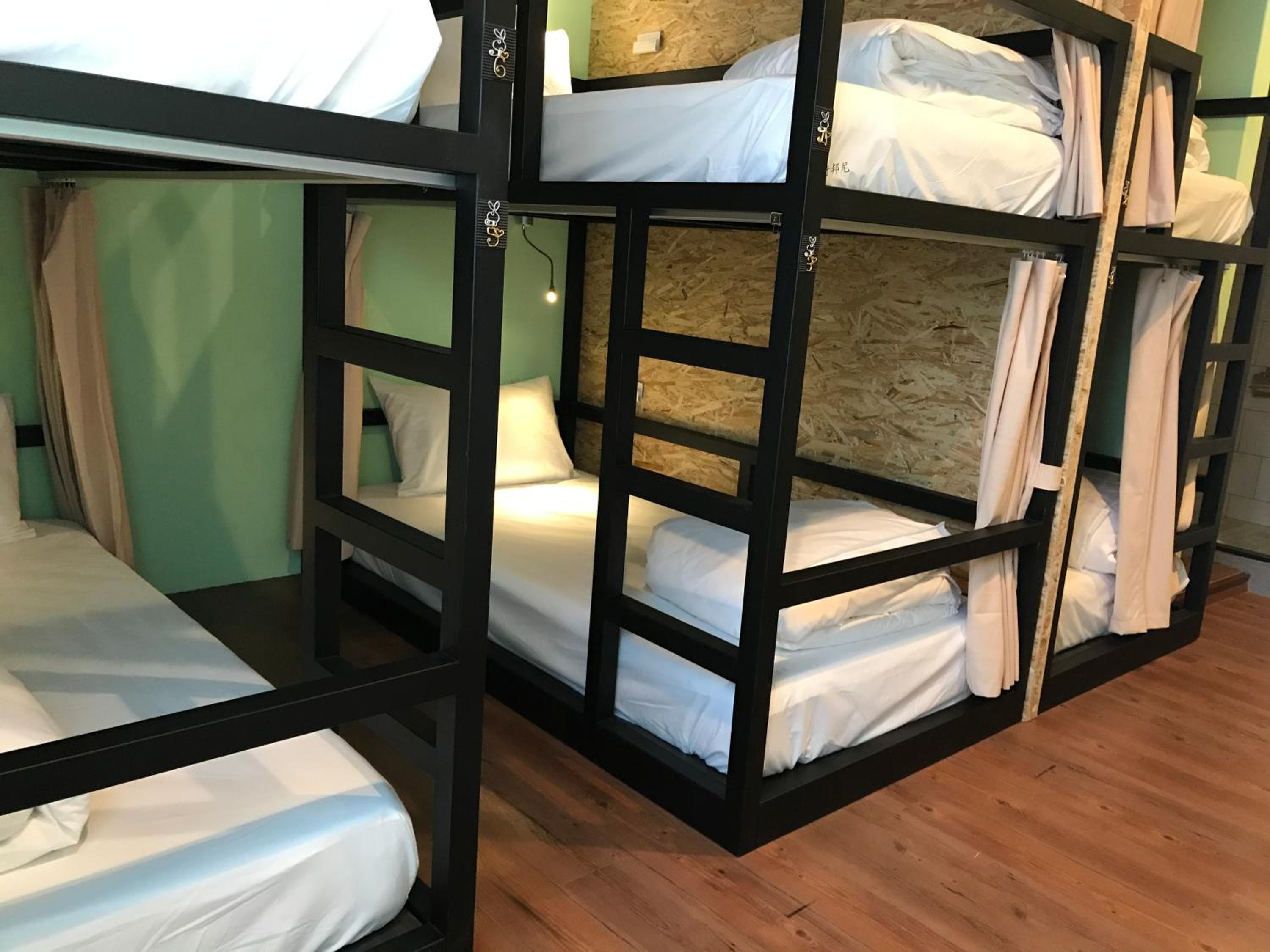 Tourist Bunny Hostel