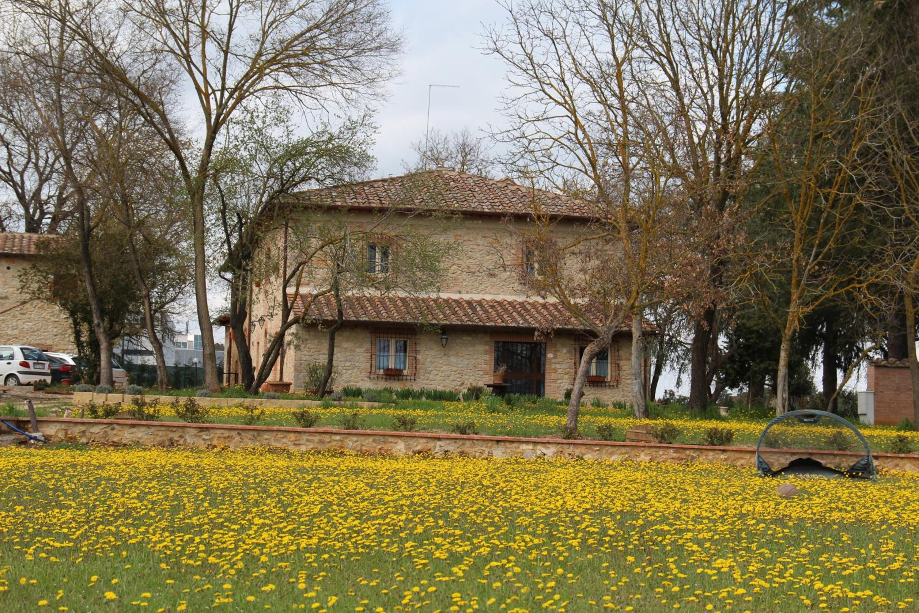 Photo 27