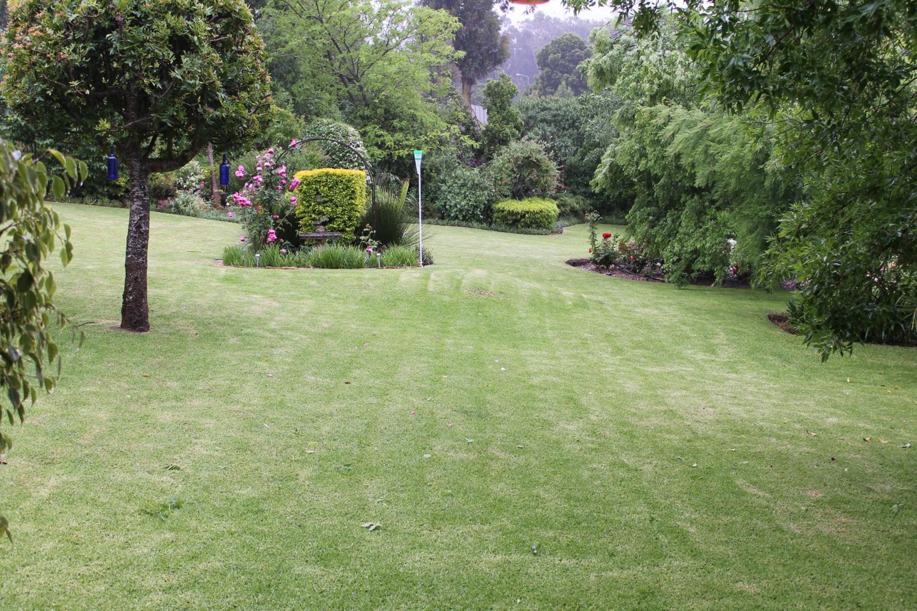 Photo 42