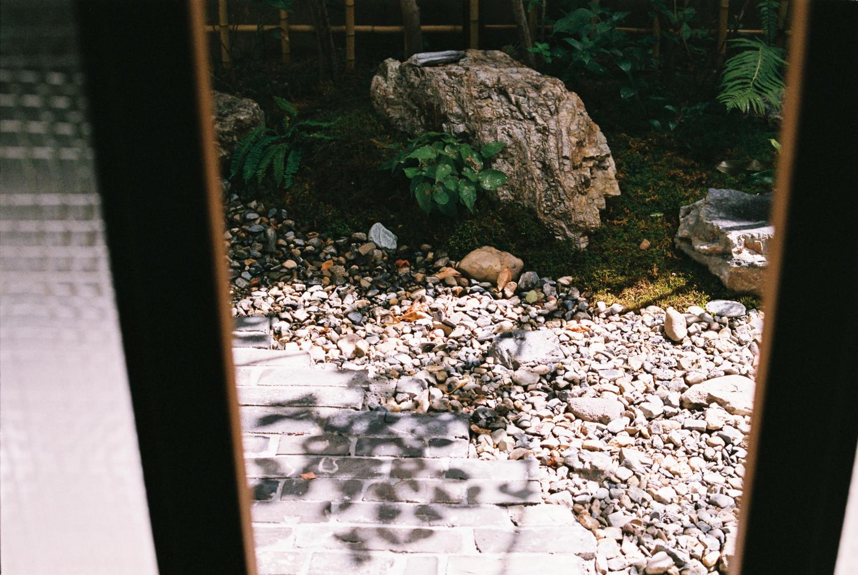 HoNoDo COBO-東寺