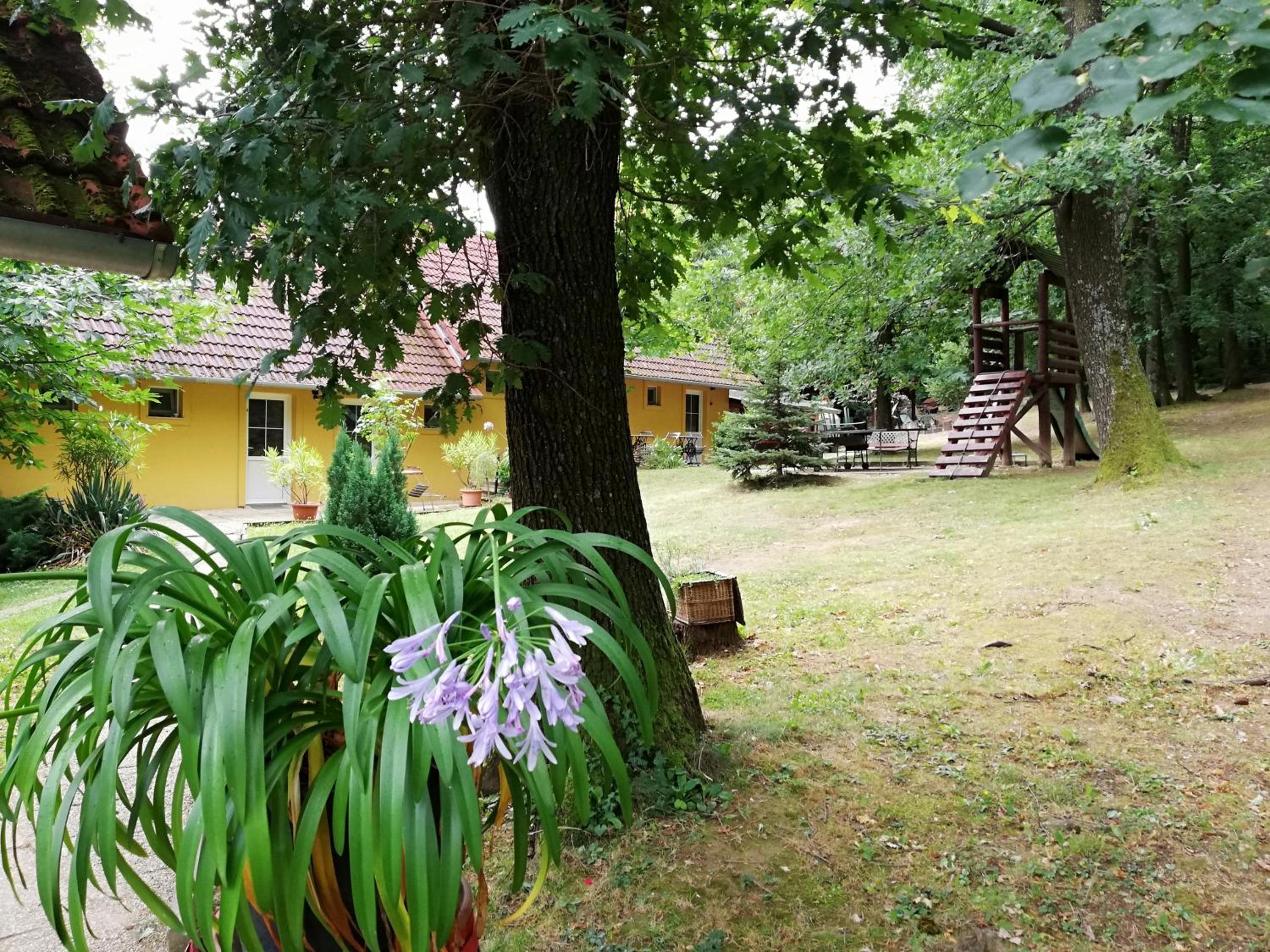 Mohás Vendégház Kőszeg Mohás út 107, photo 47