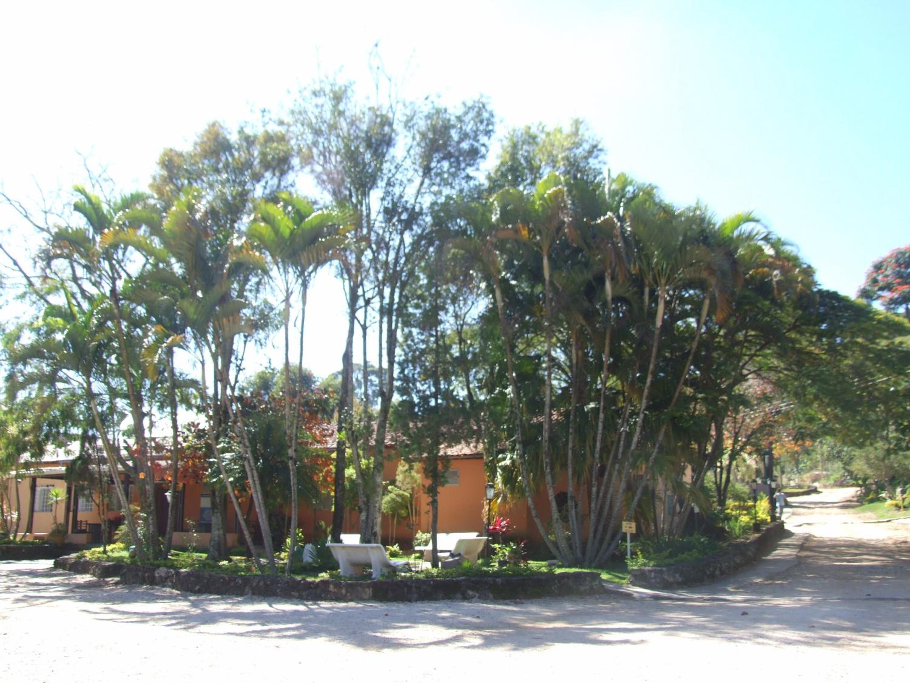 Big Valley Hotel Fazenda