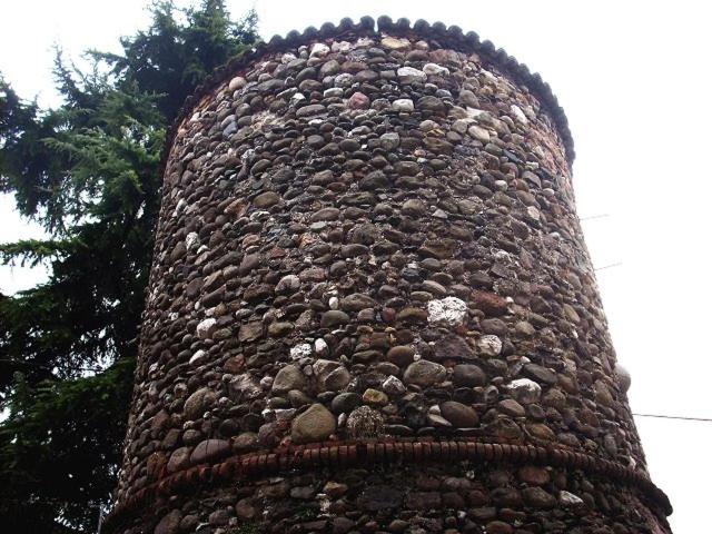 Photo 41