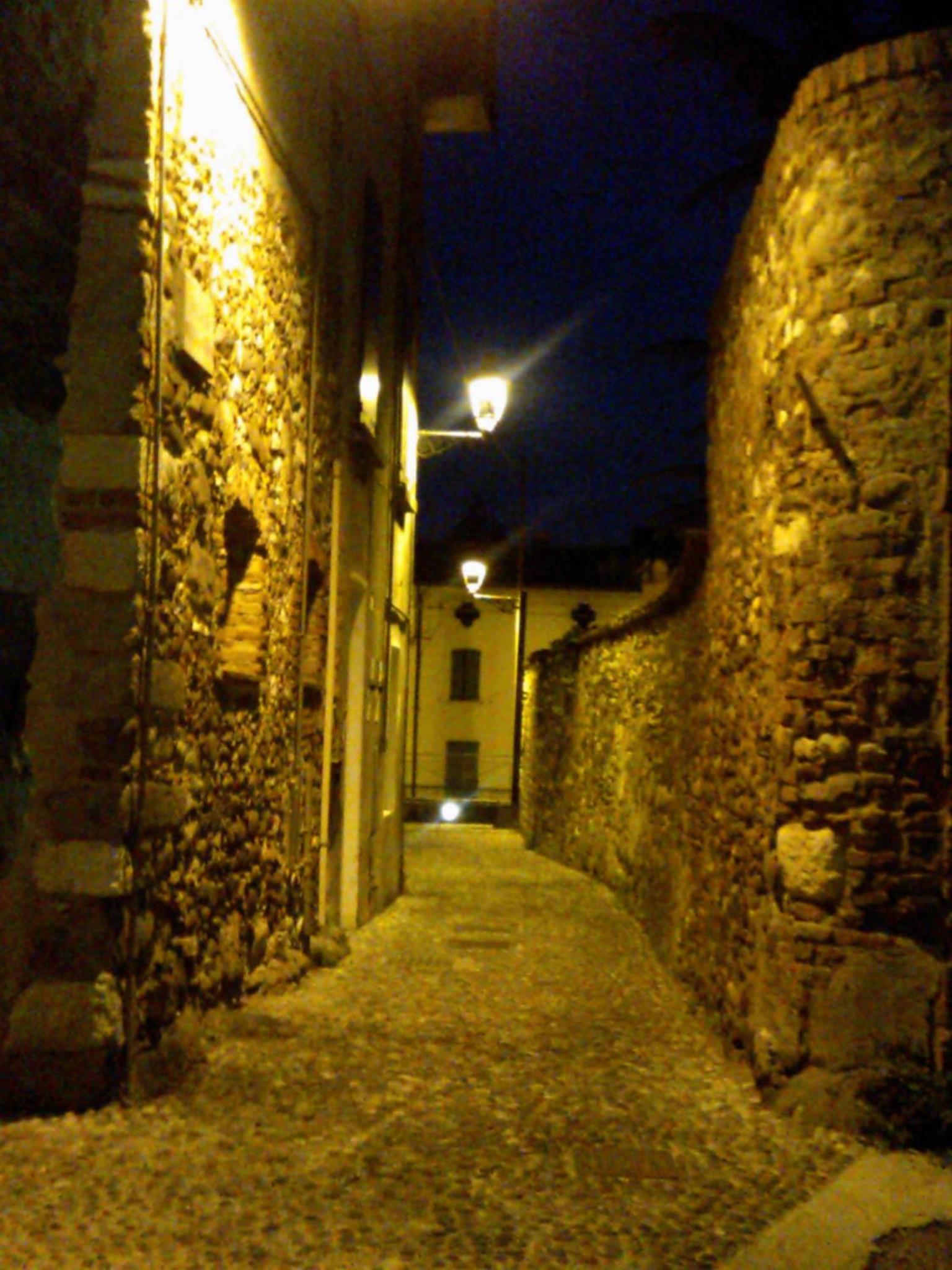 Photo 44