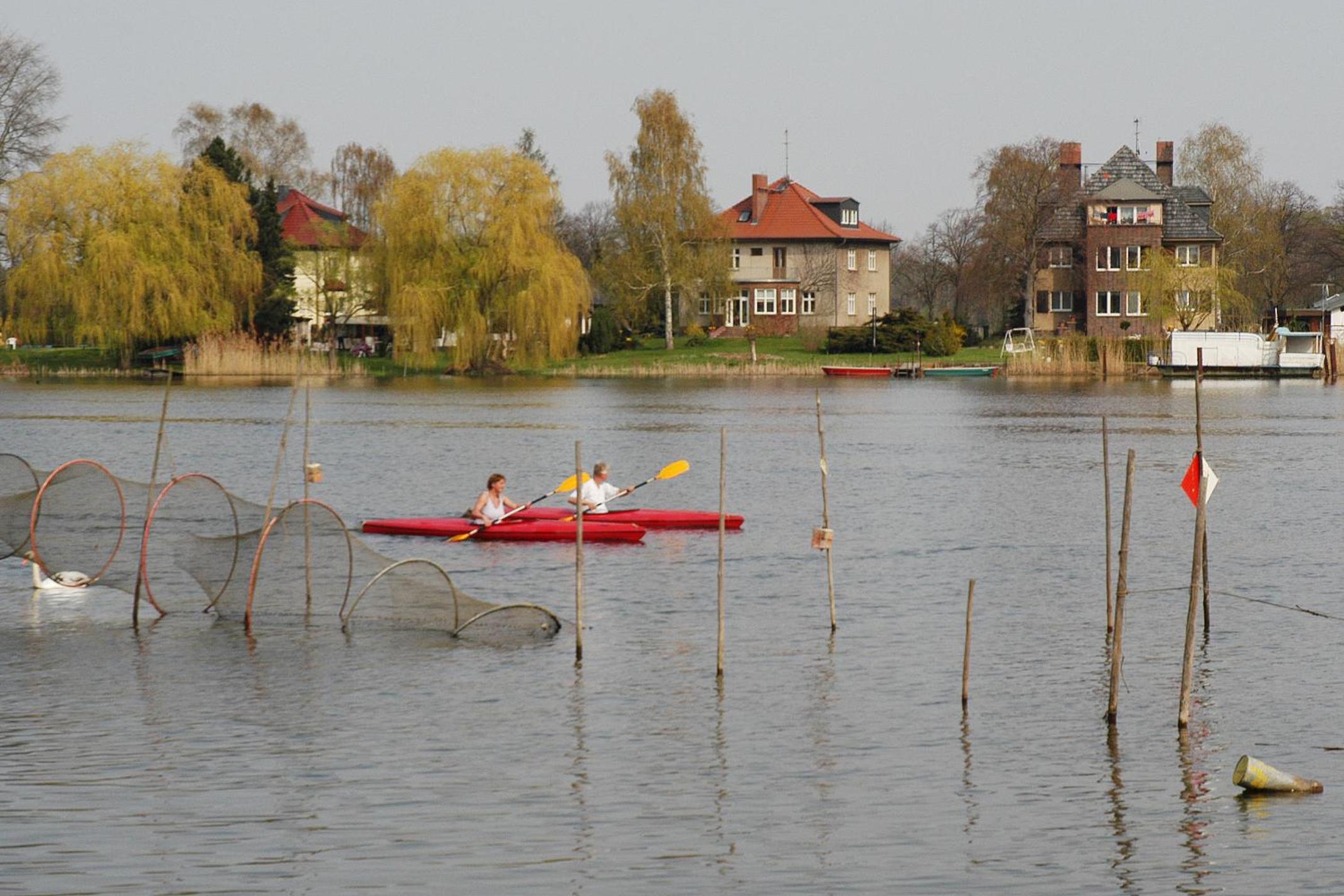 Photo 40