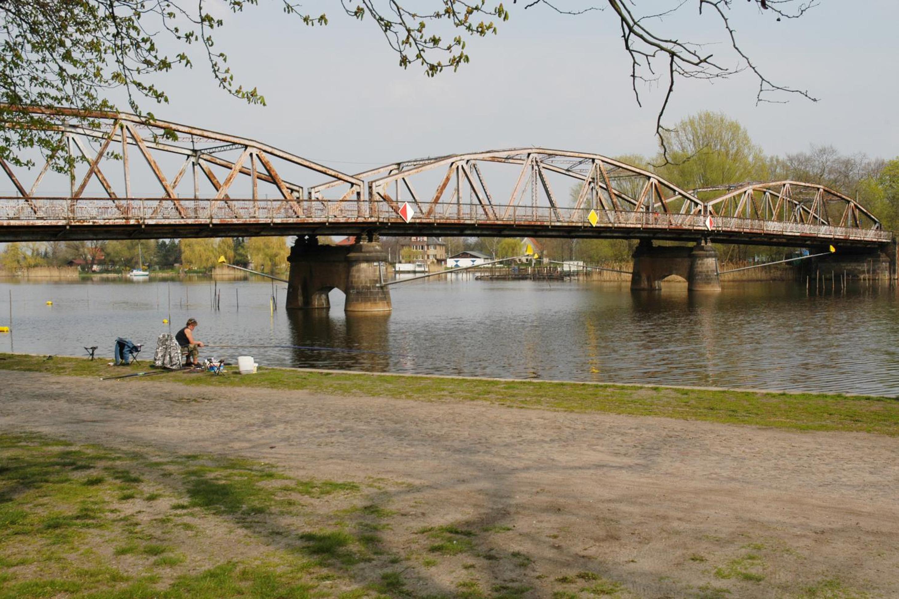 Photo 41