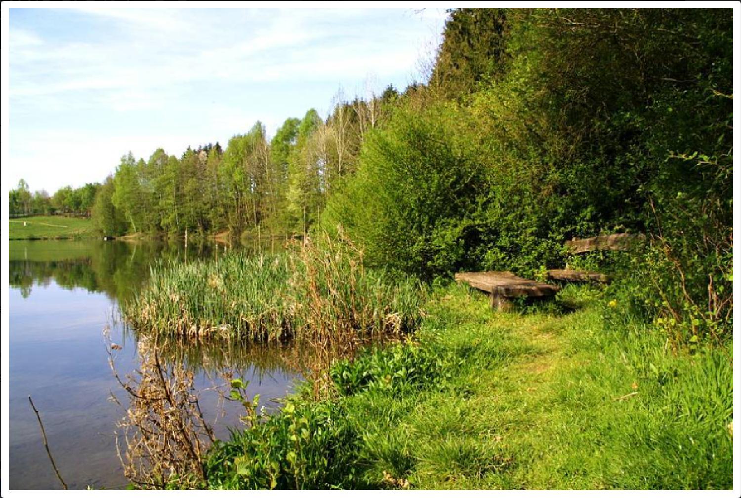 Feriendorf Freilingen 151 A