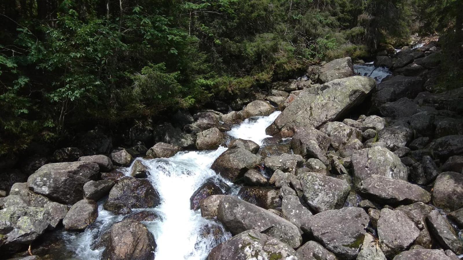 Photo 29