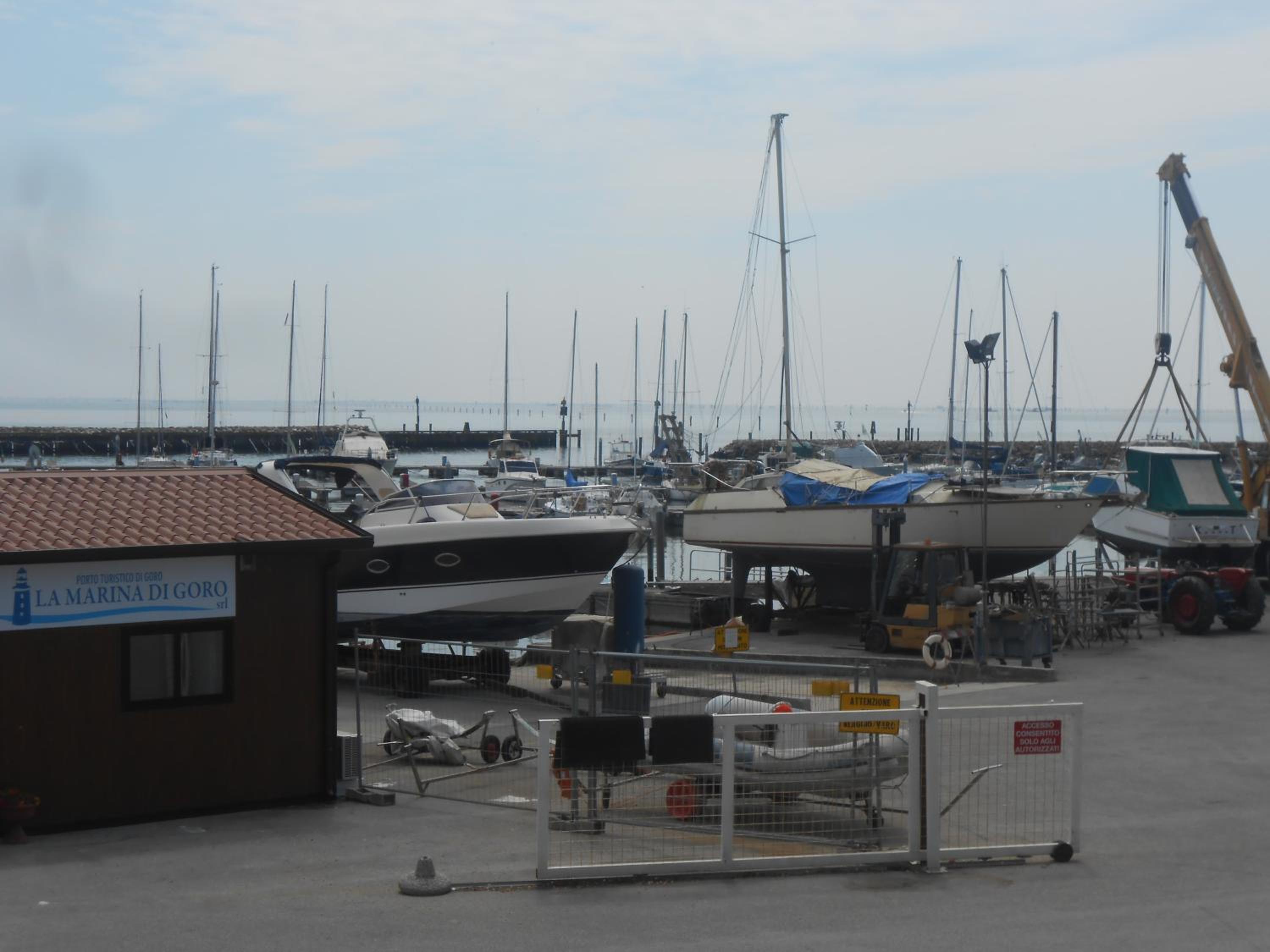 Photo 44