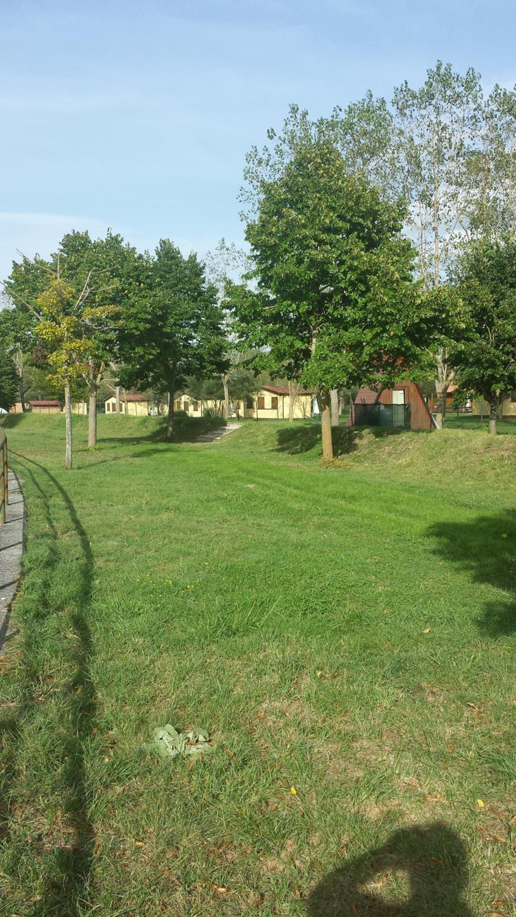 Photo 24