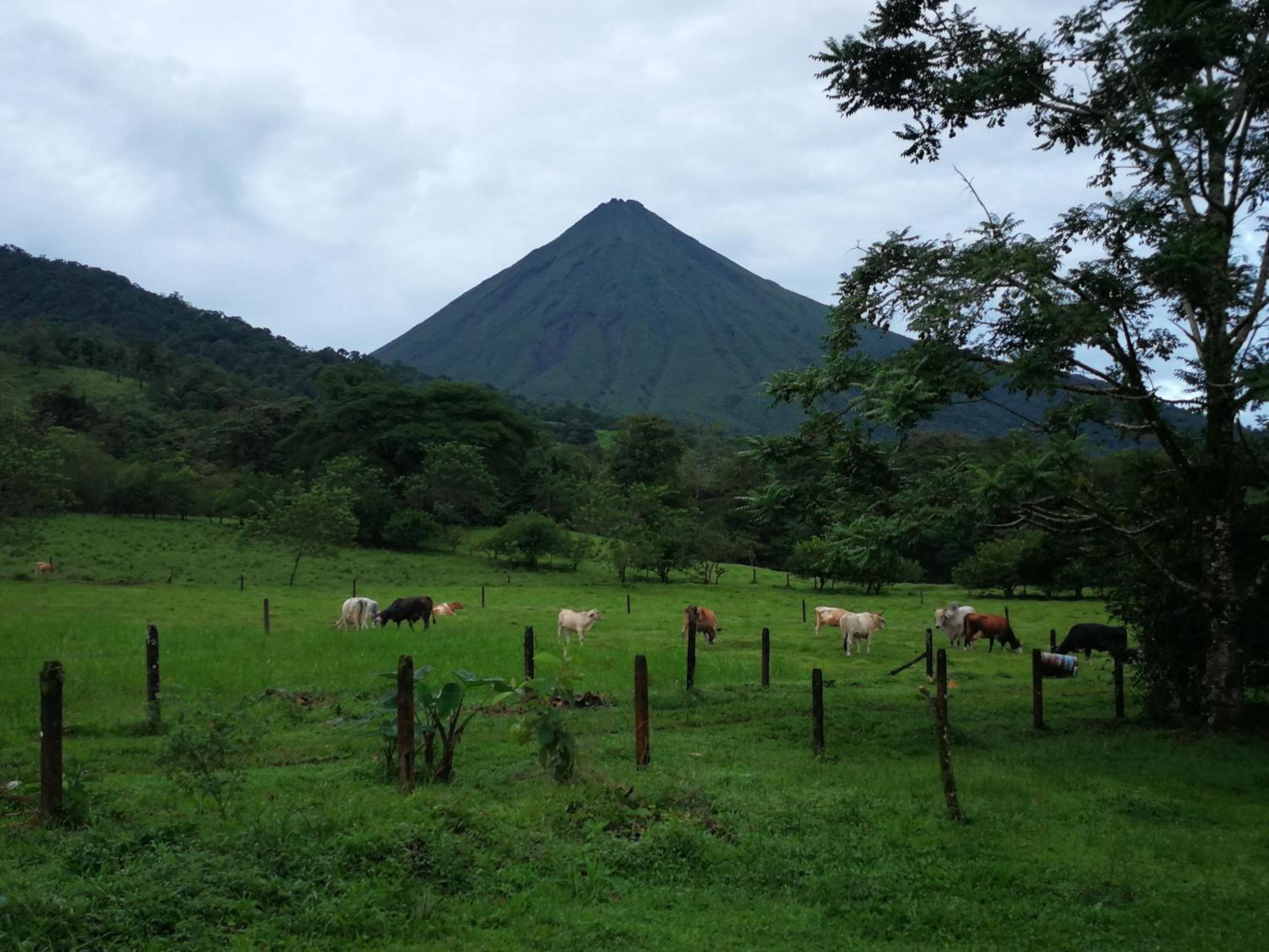Tío Felix Eco Lodge