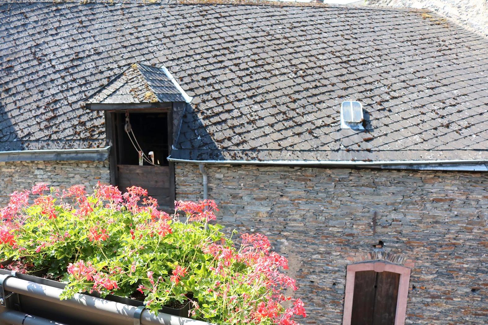 Alte Schmiede zu Trarbach