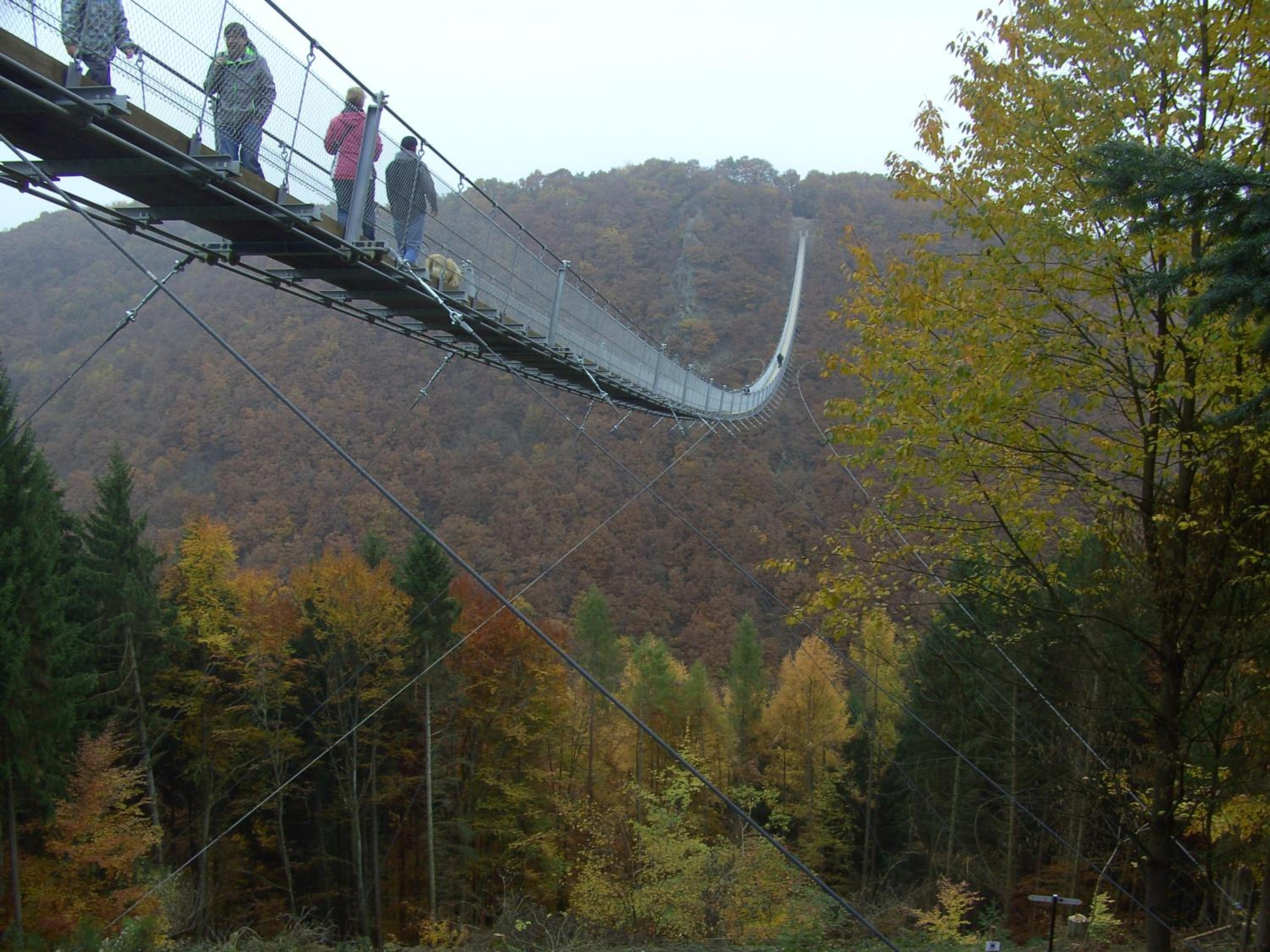 Moselblick view 5
