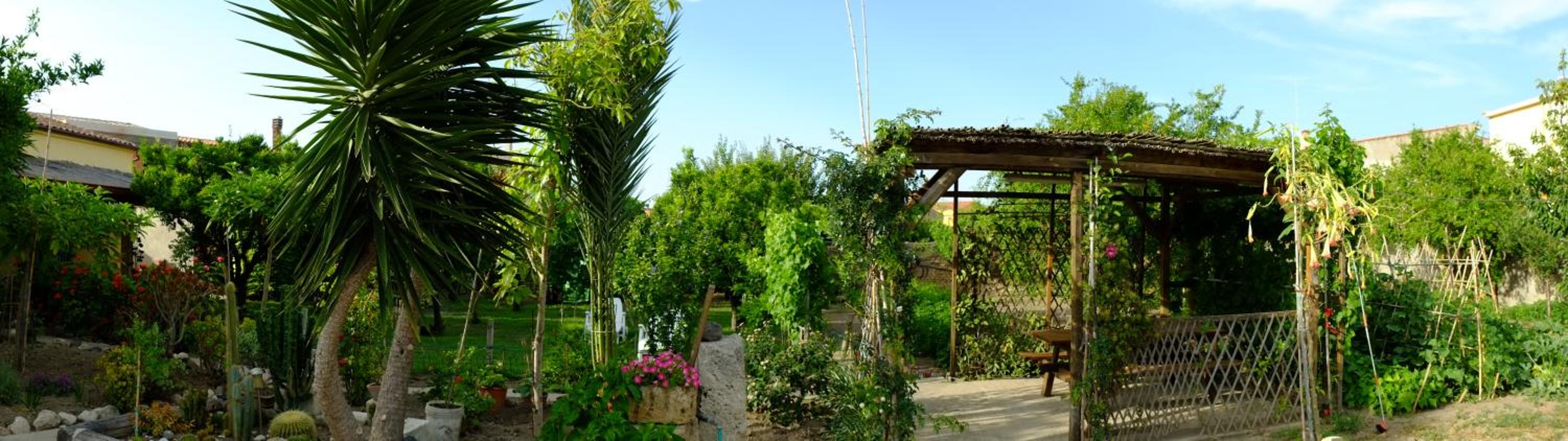 Photo 17