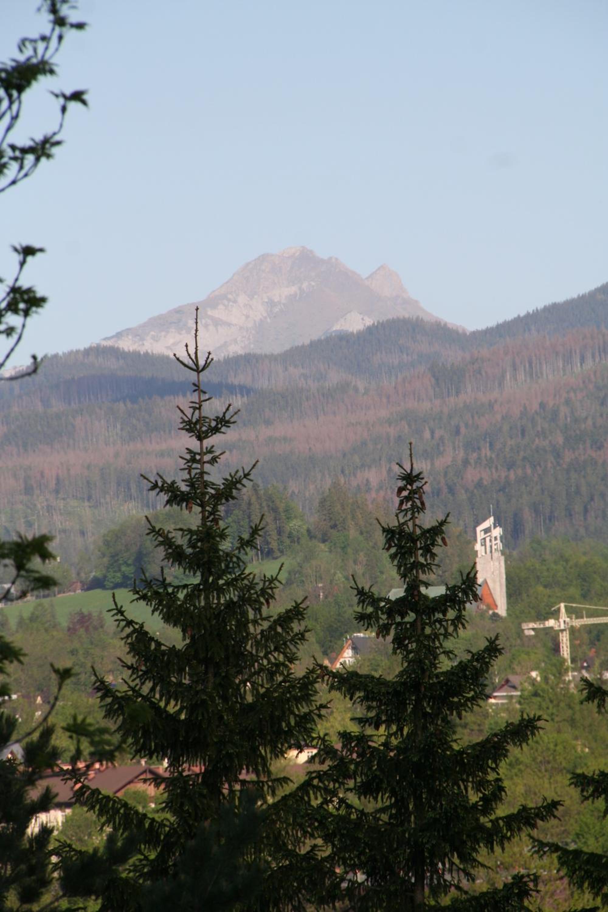 Photo 56
