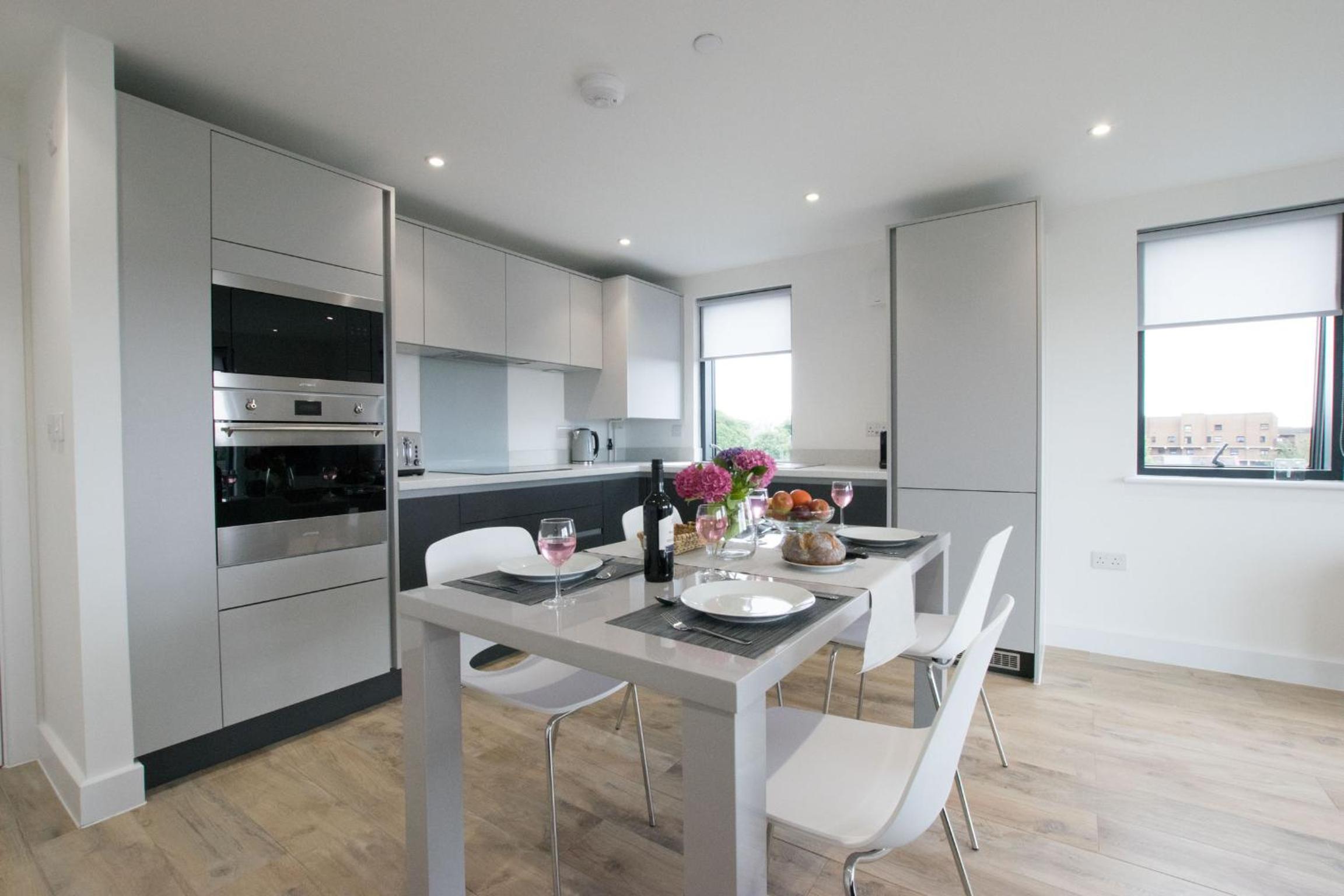 Pen Dinas Cardiff Apartment view 3