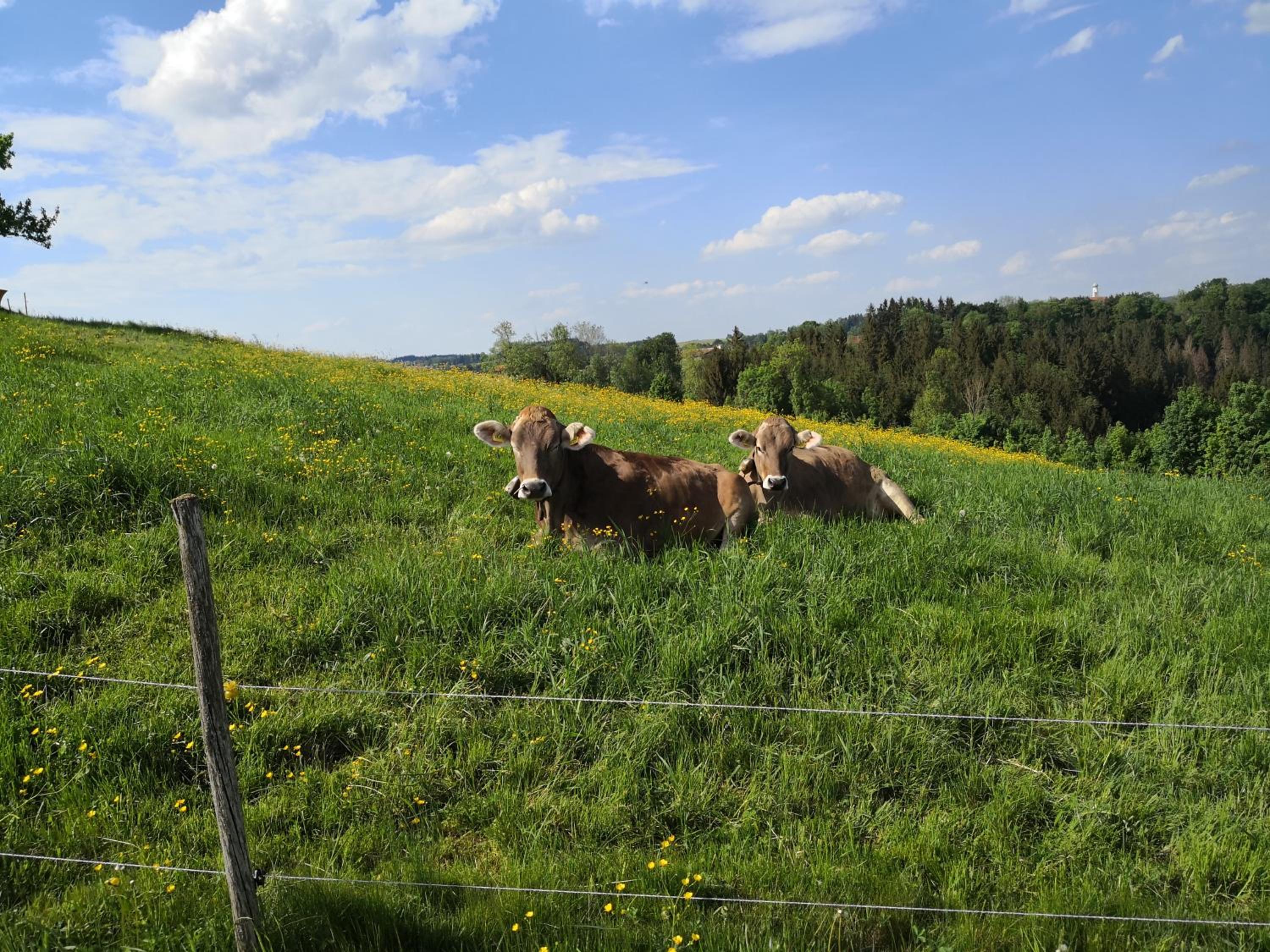 Jagerstuble - Property Image 22