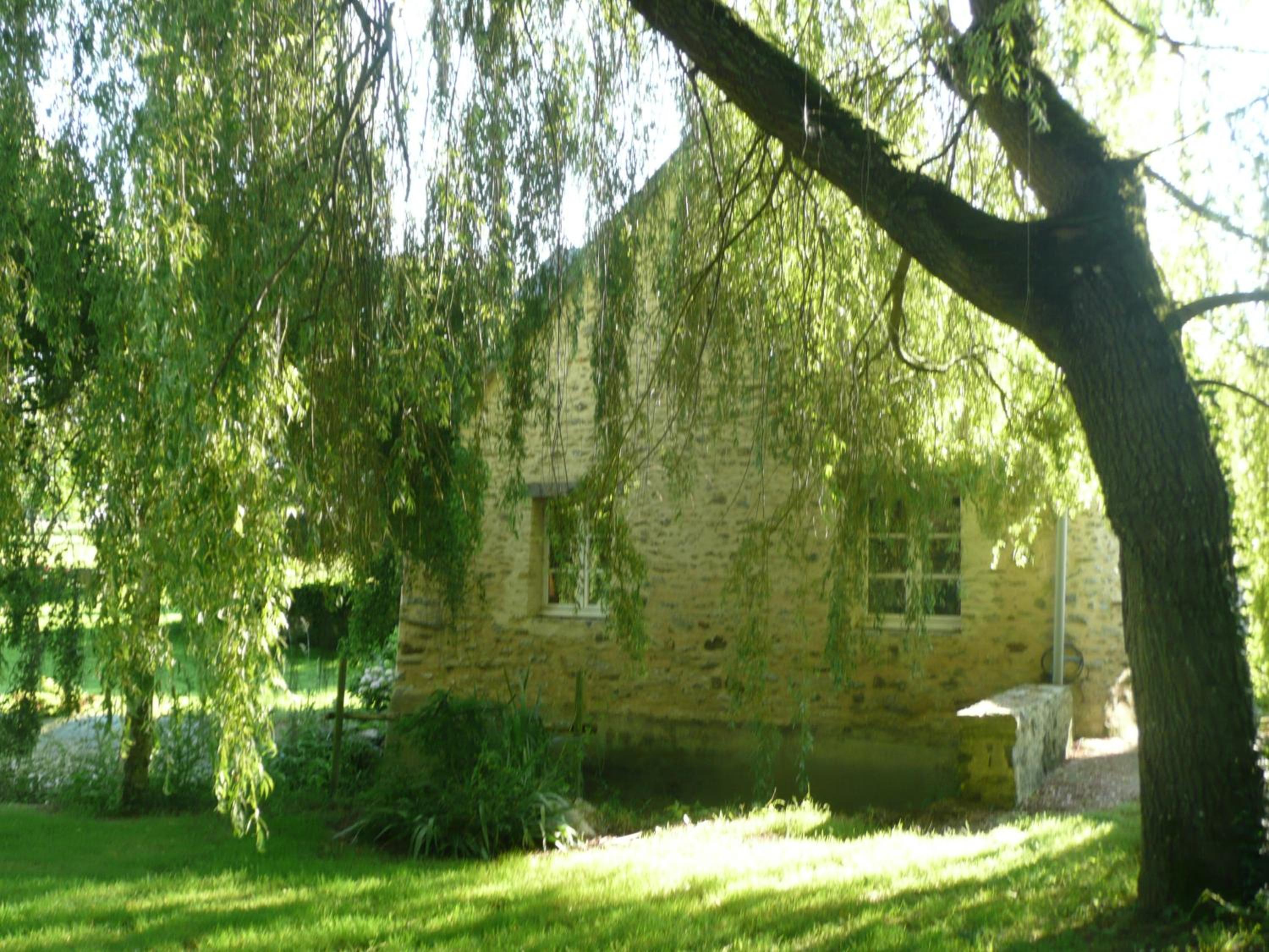 Photo 19