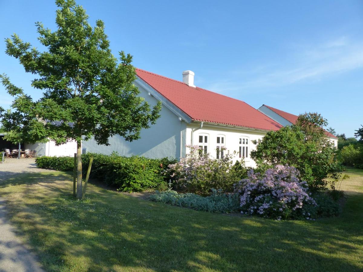Sysselbjerg Bed & Breakfast view 3