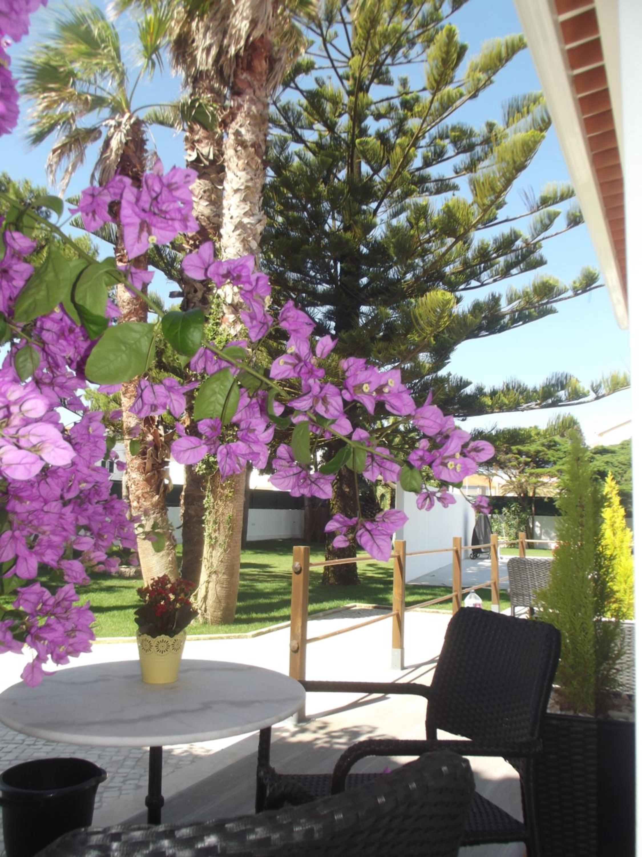 Silver Seahorse Garden Retreat