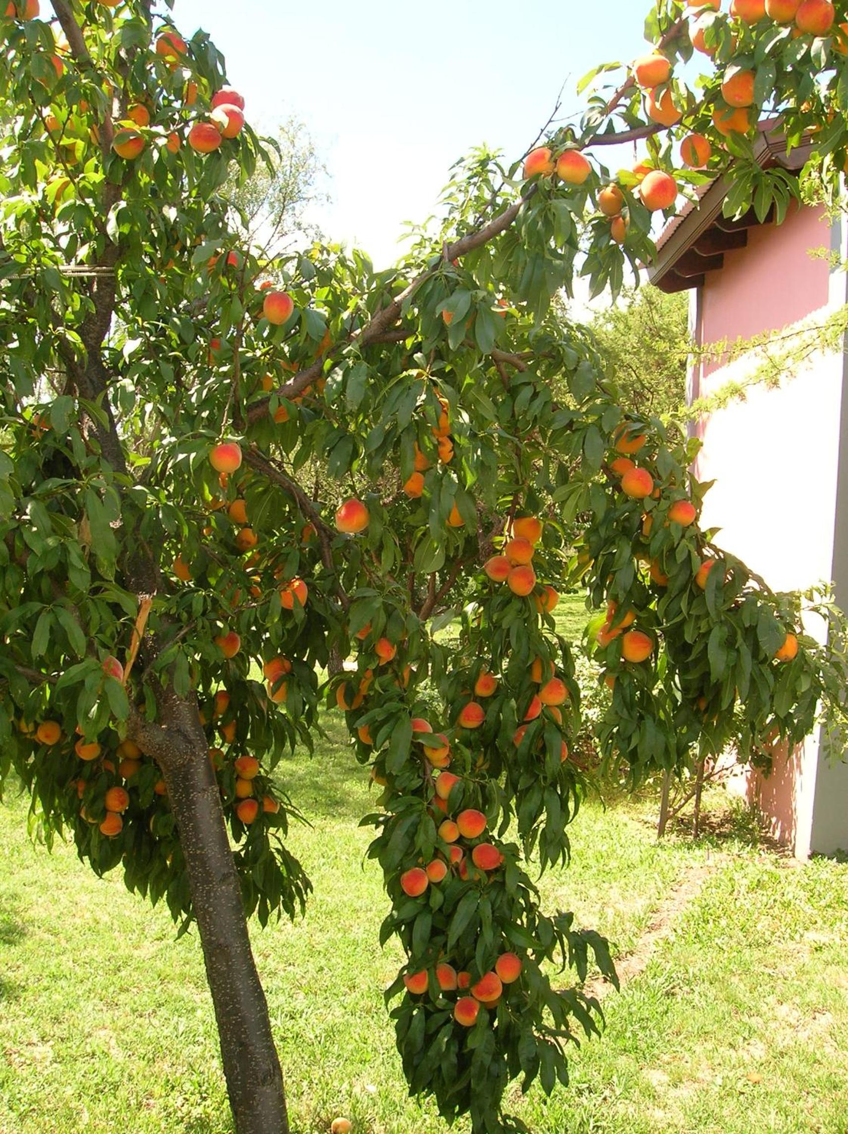Posada Los Antiguos-Adults Only